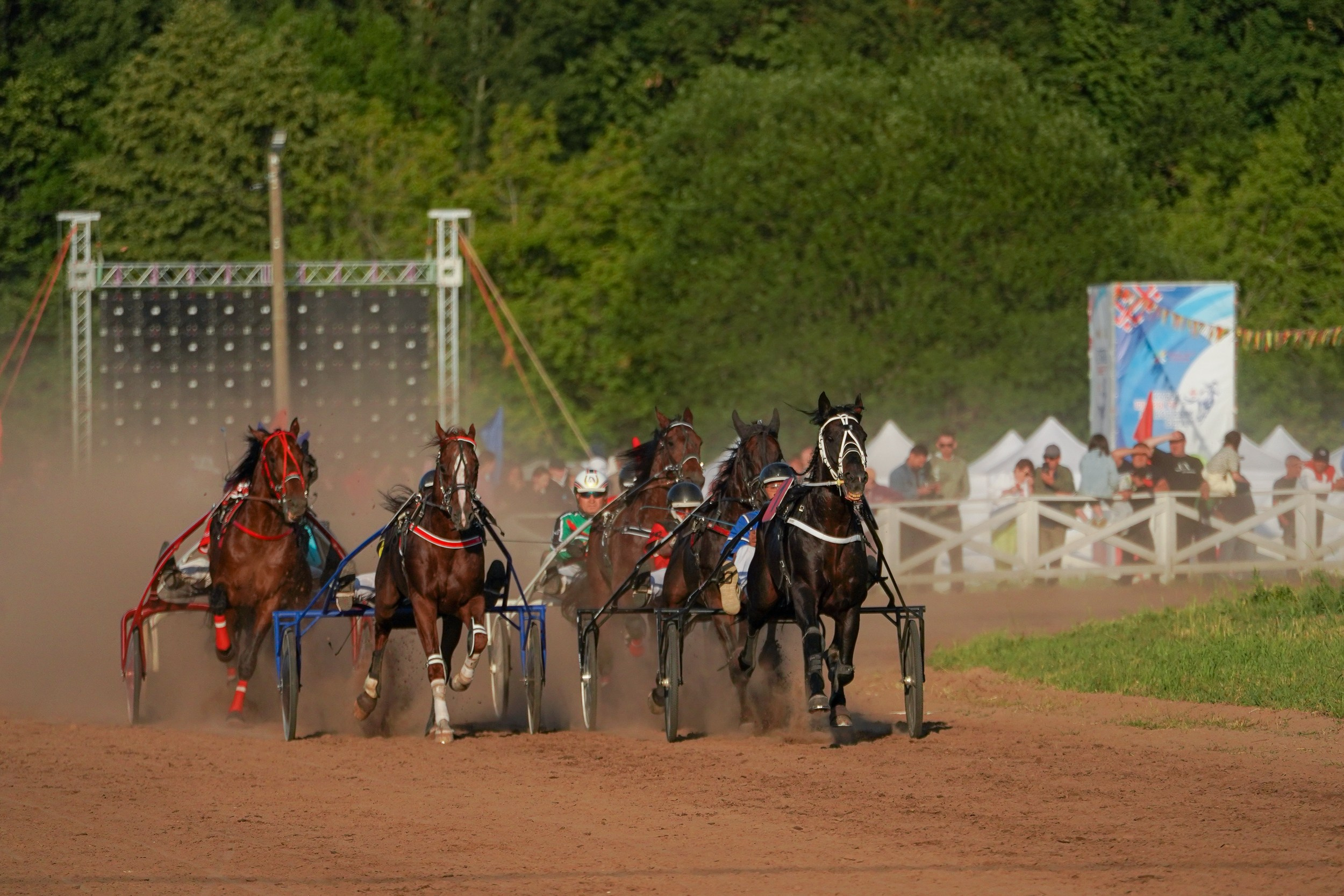 III конные бега на Кубок Главы Чувашии. Фотограф-анималист, портретный фотограф в Чебоксарах Мария Садыкова