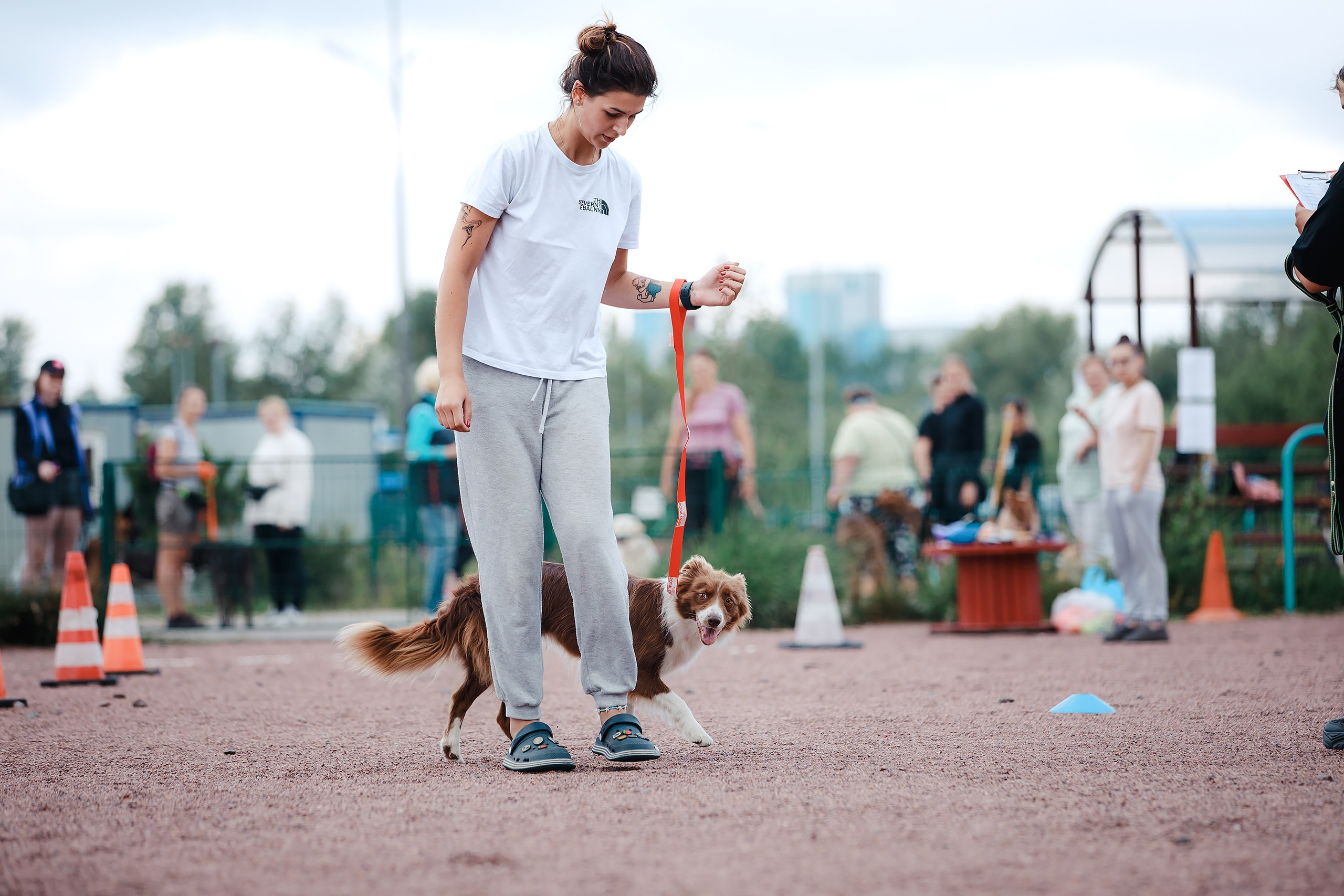 Питч&Гоу + веселые старты. Фотограф-анималист Mary Mart — Москва, Питер