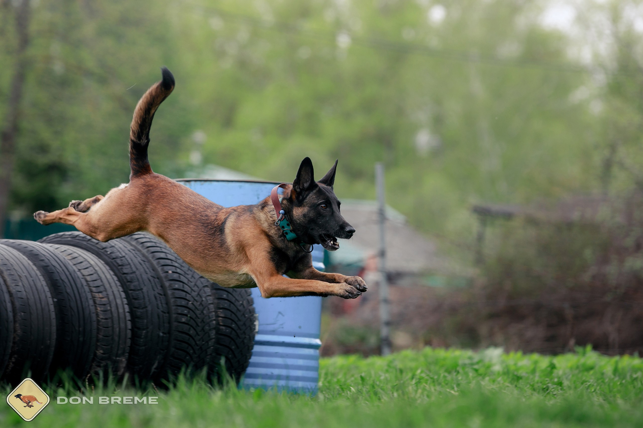 Семинар для фигурантов, день 2. Фотограф-анималист Mary Mart — Москва, Питер