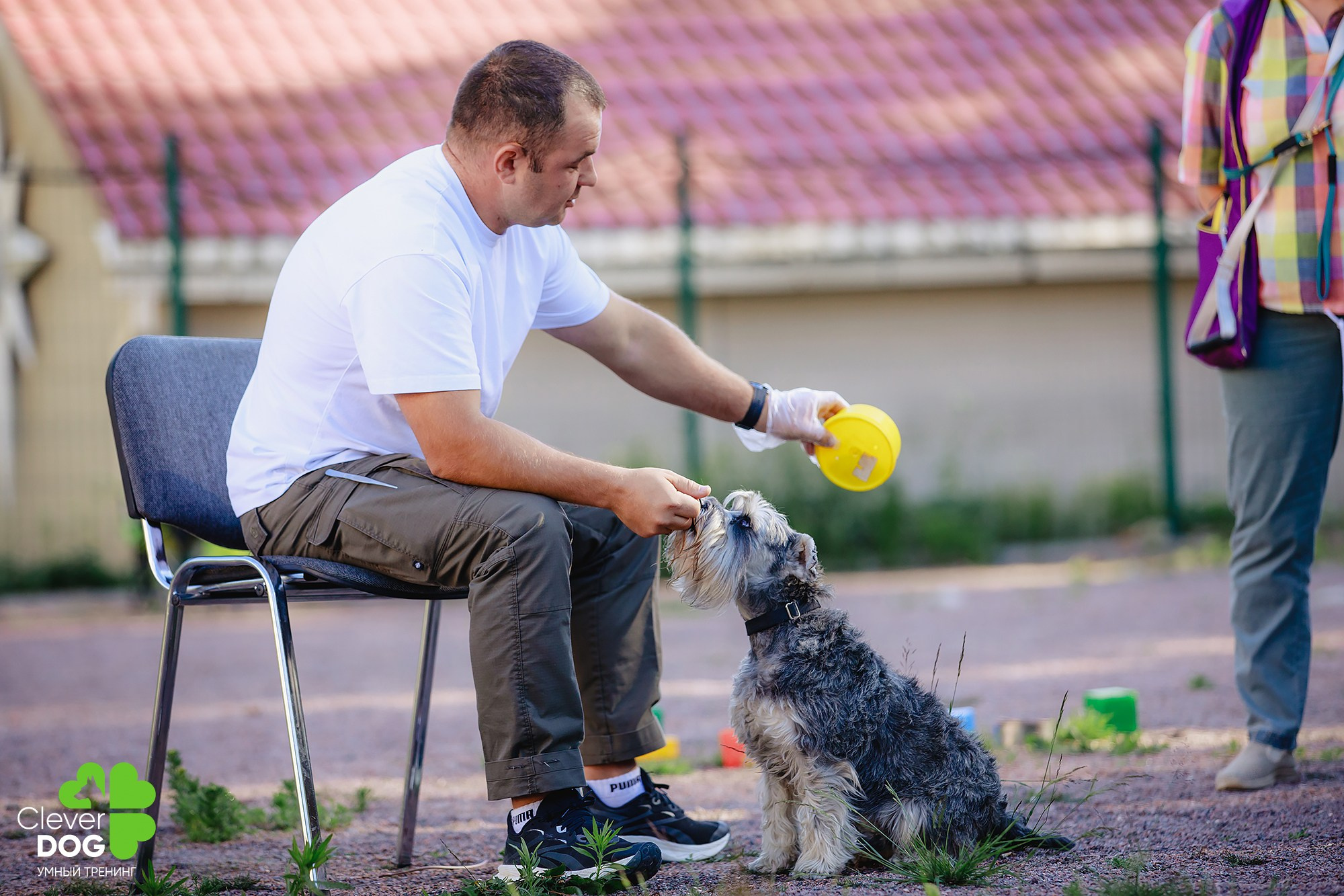Семинар по поиску запаха с Иваном Ломовым, организатор CleverDog, СПб. Фотограф-анималист Mary Mart — Москва, Питер
