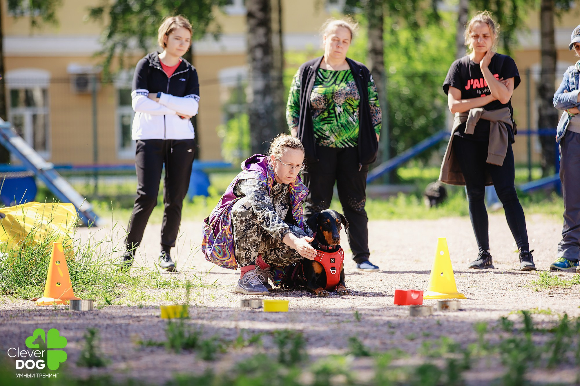 Семинар по поиску запаха с Иваном Ломовым, организатор CleverDog, СПб. Фотограф-анималист Mary Mart — Москва, Питер