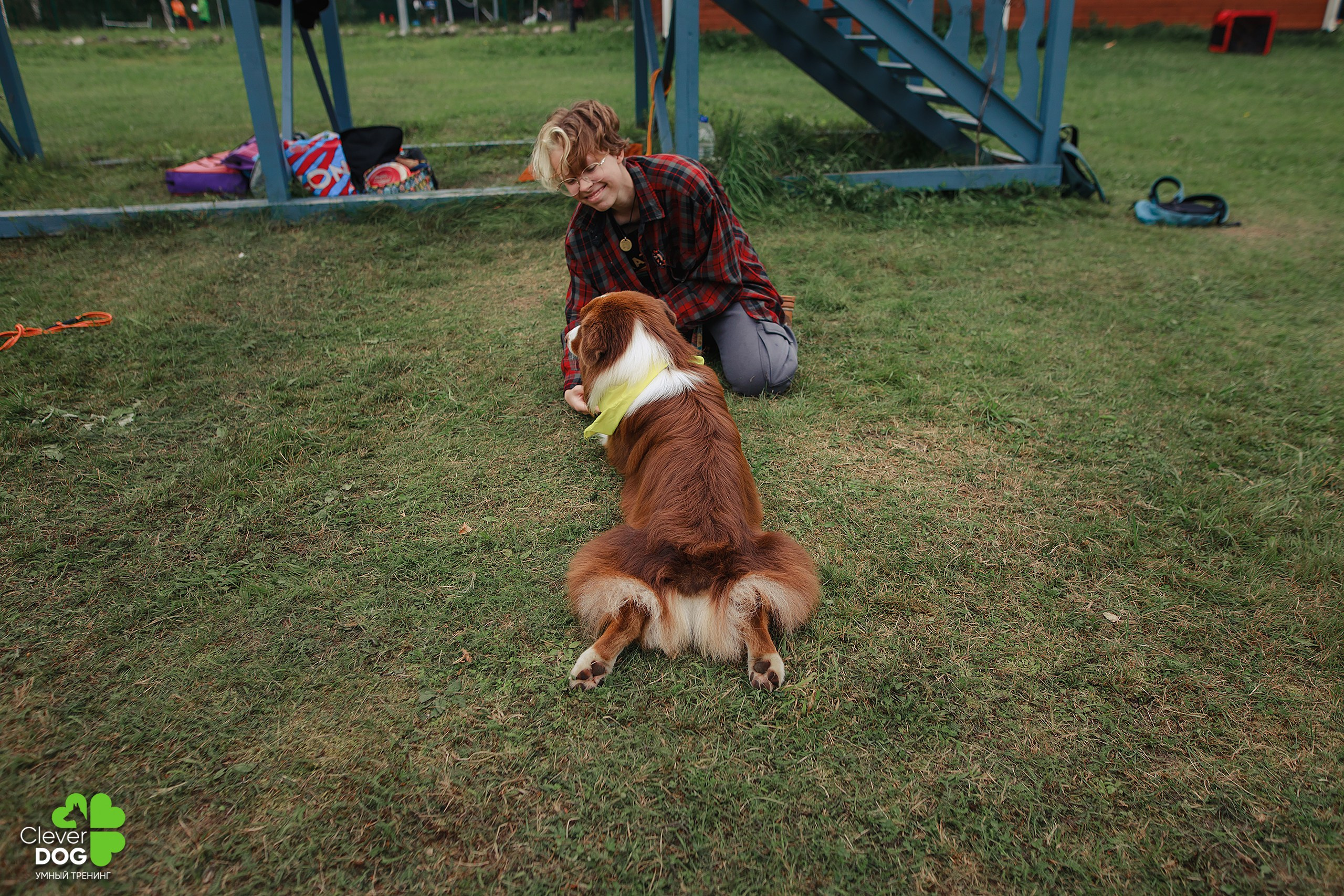 Кинологический лагерь CleverDog, 2024. Фотограф-анималист Mary Mart — Москва, Питер