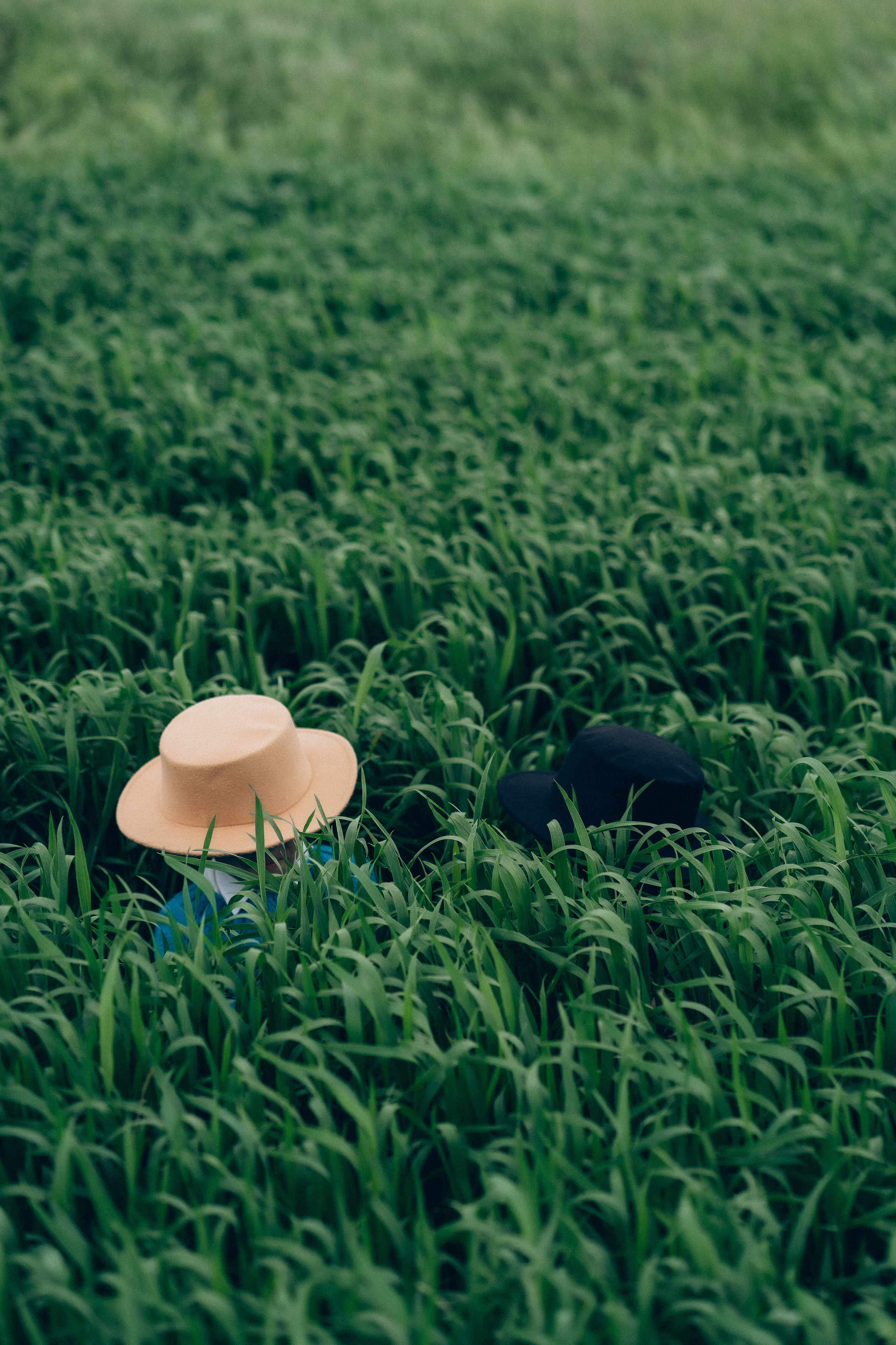 Симметрия. Семейный фотограф в городе Ейск — Михайлова Татьяна