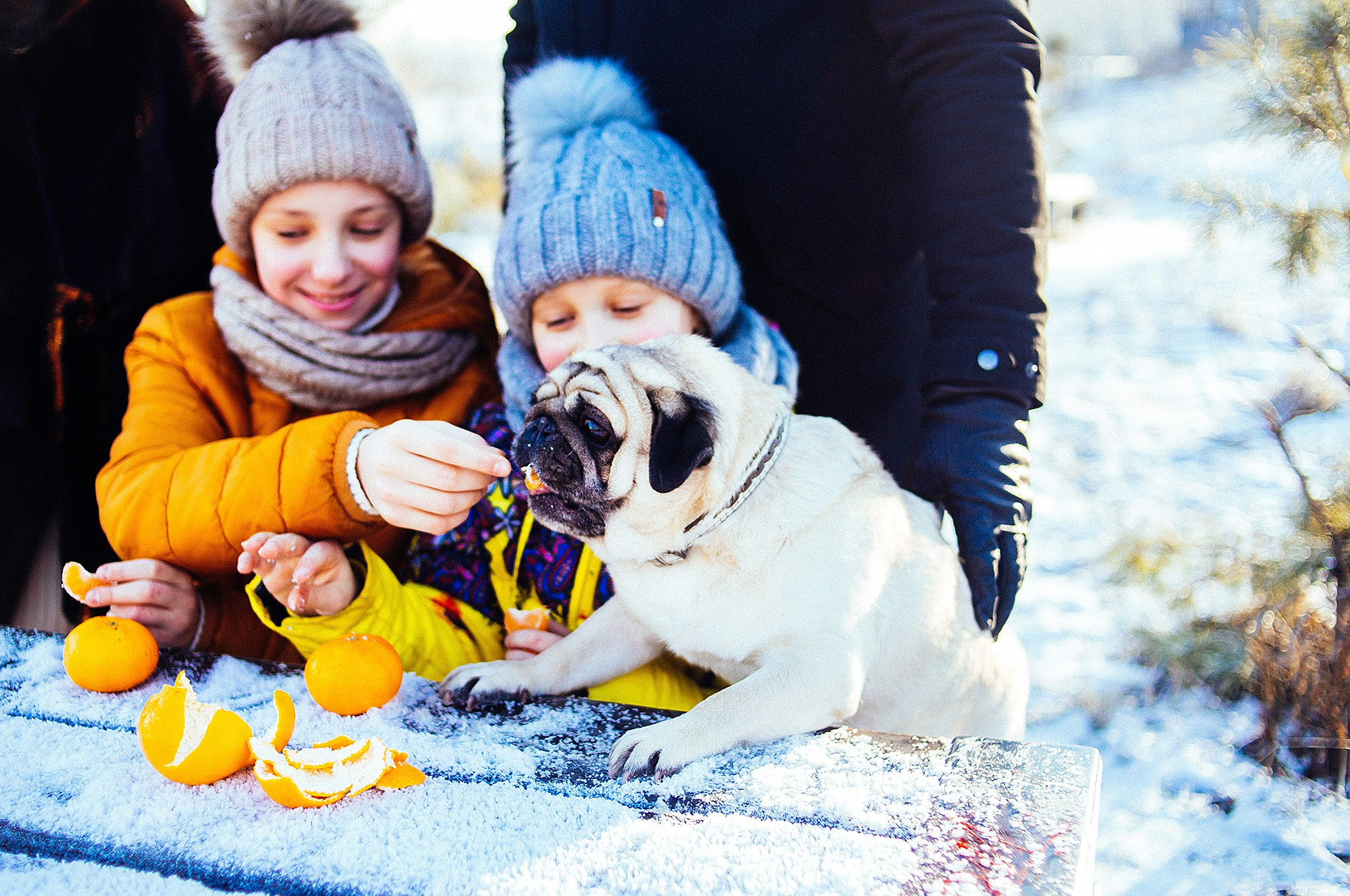 Зимняя фотопрогулка на мещерском озере с мандаринами. Детский и семейный фотограф, фотограф мероприятий Нижний Новгород