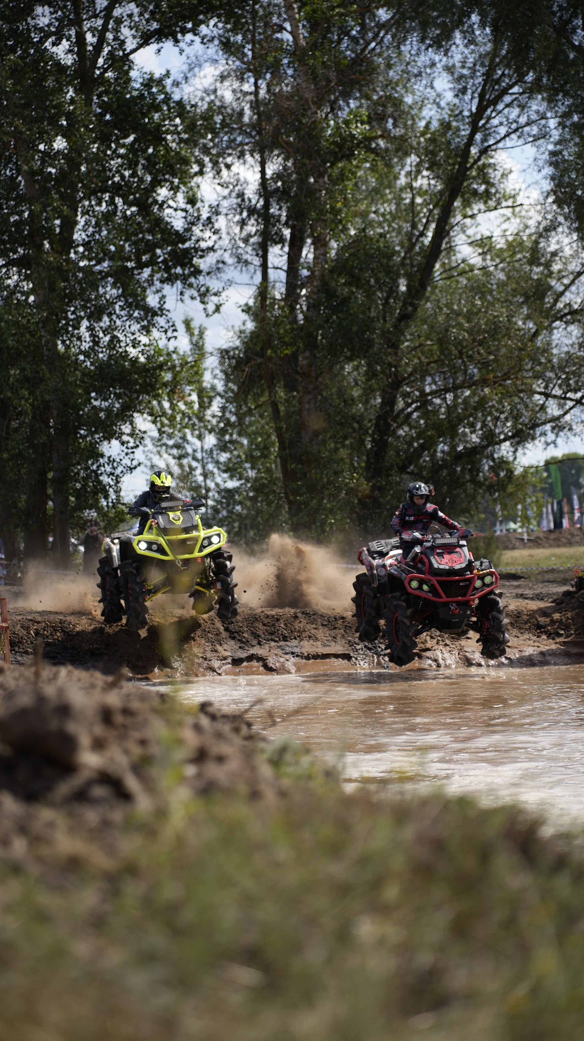 Asset. Георгий Новиков