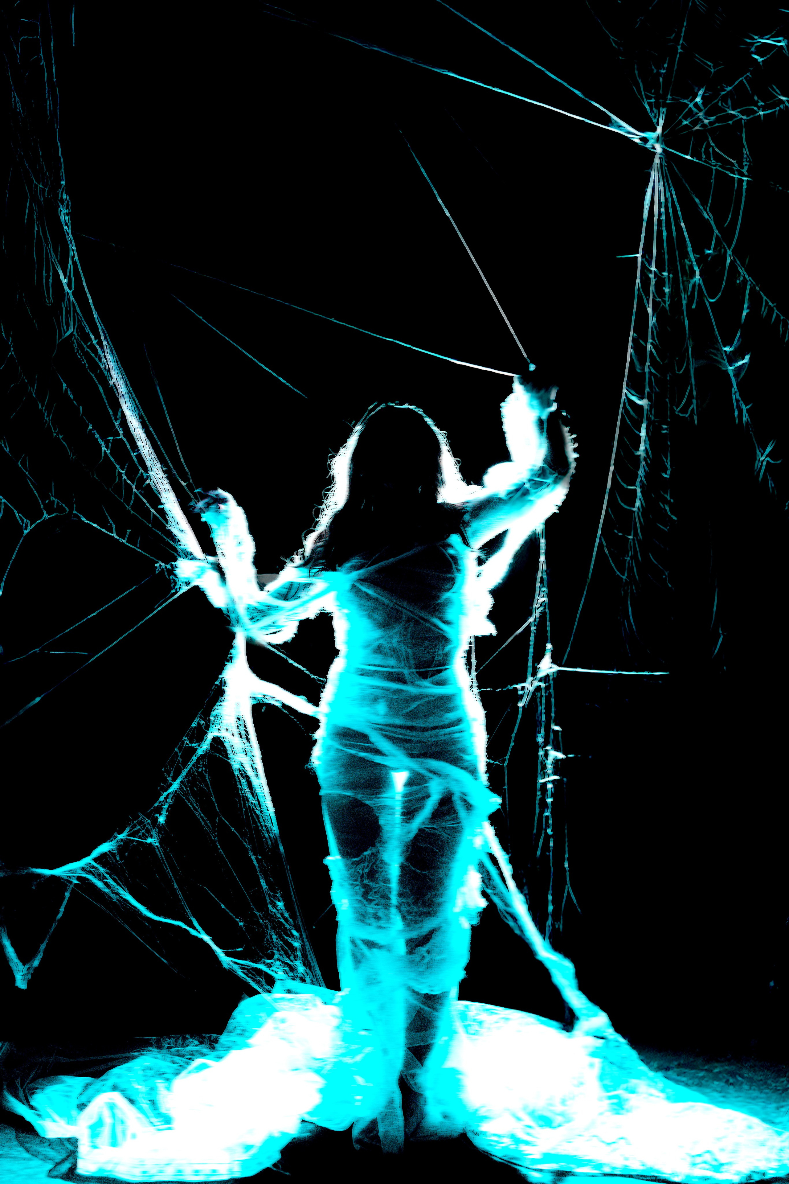 Diibae spider. Фотограф из Санкт-Петербурга Валерия Ленских