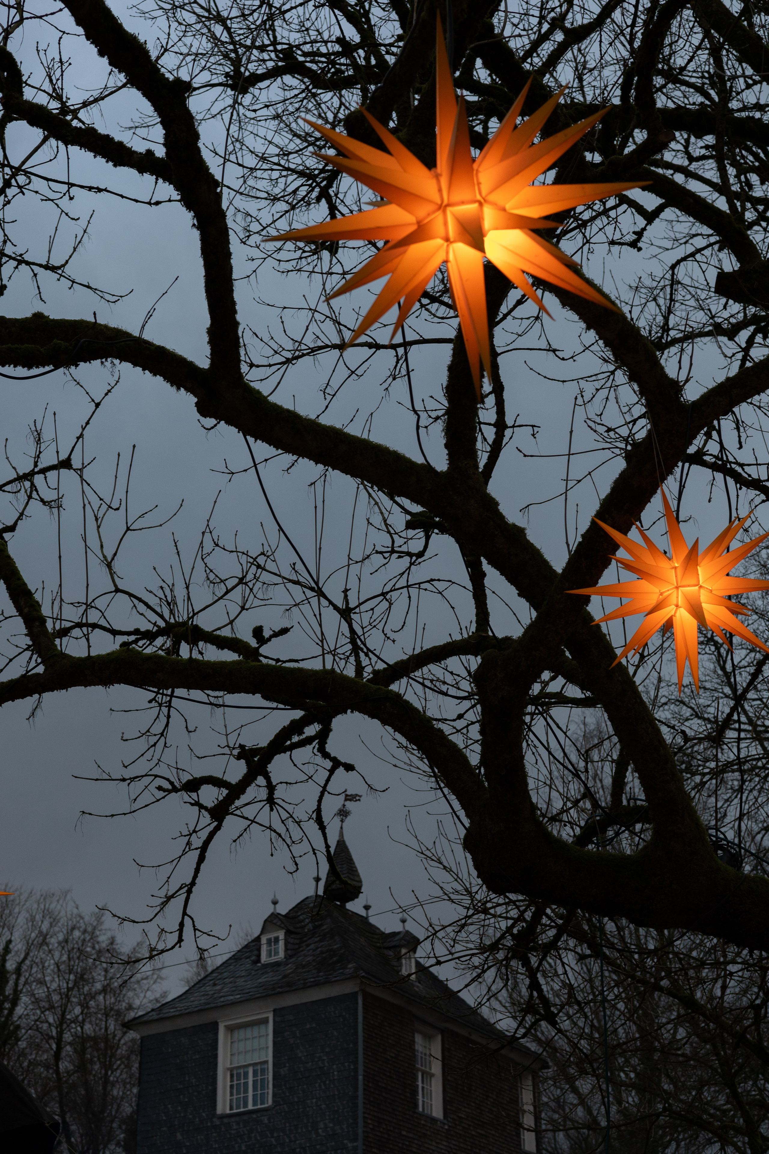 Christmas Fairy Tale. ITMAG.ME | Visual Art