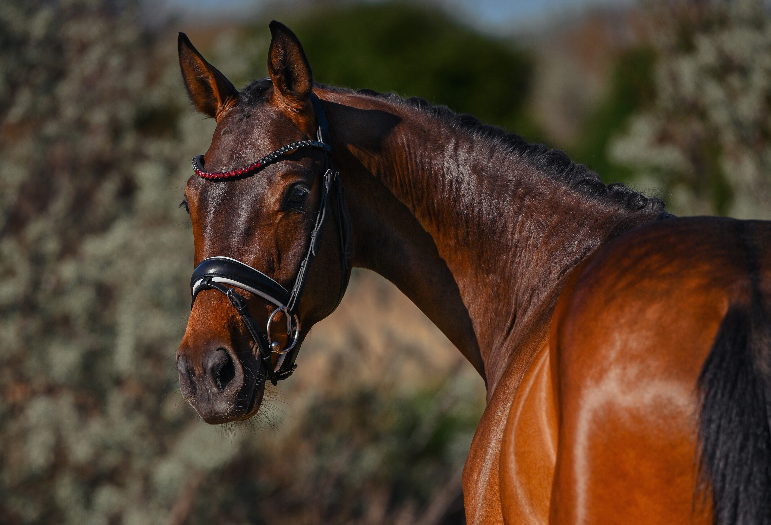 Фотограф в Ростове —на — Дону
