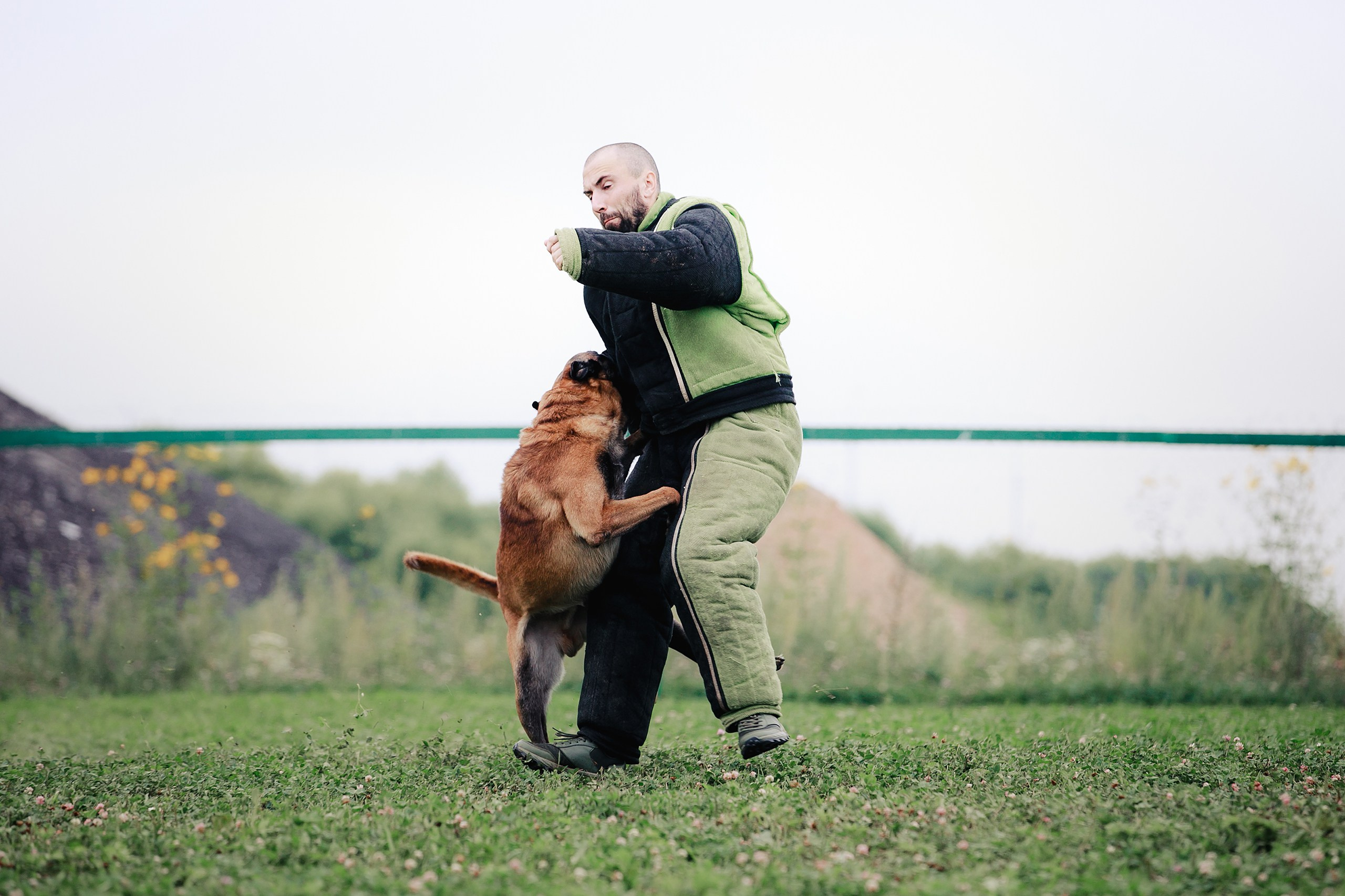 Мондьоринг М1, М2, М3, Вологда. Фотограф-анималист Mary Mart — Москва, Питер