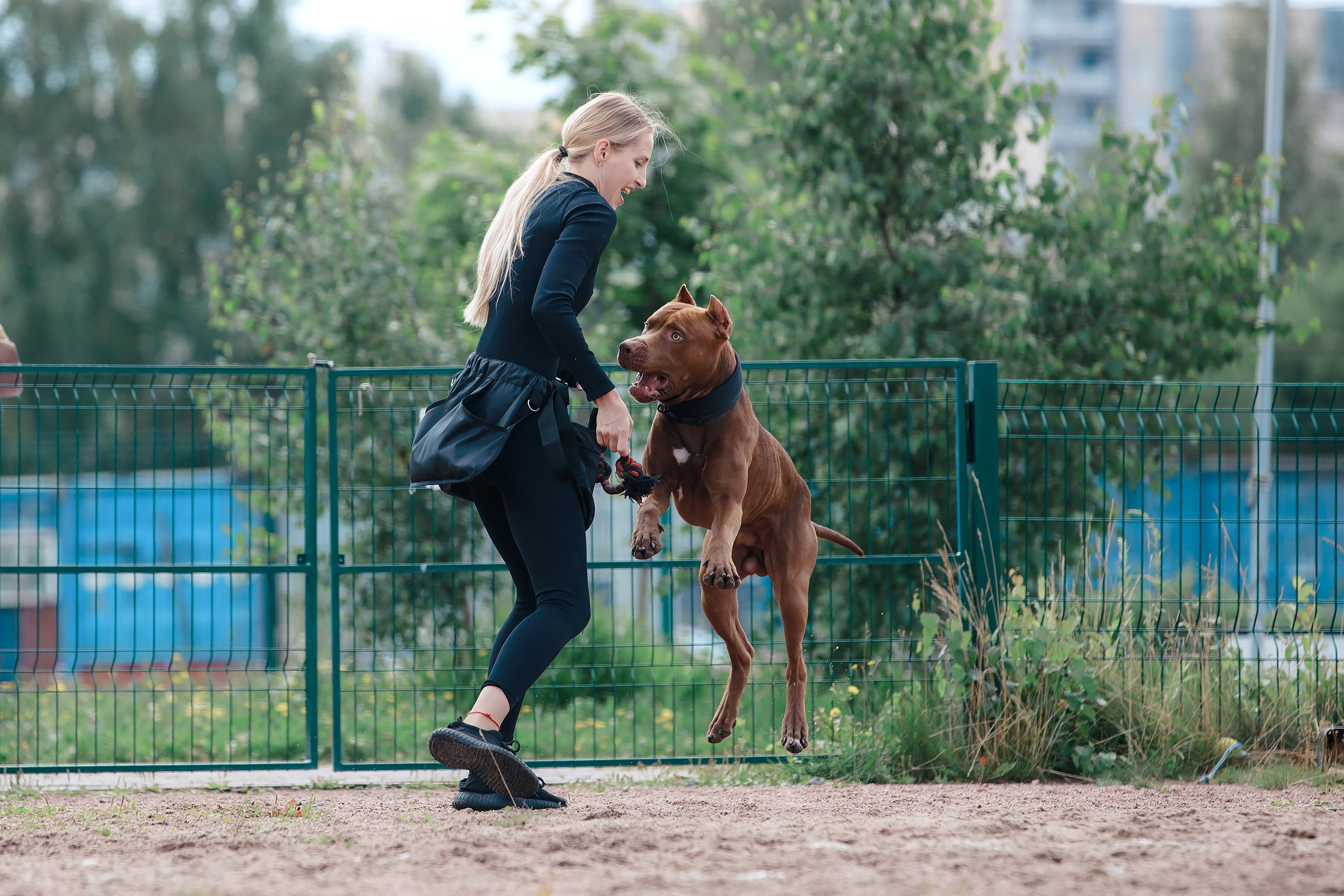 Питч&Гоу + веселые старты. Фотограф-анималист Mary Mart — Москва, Питер
