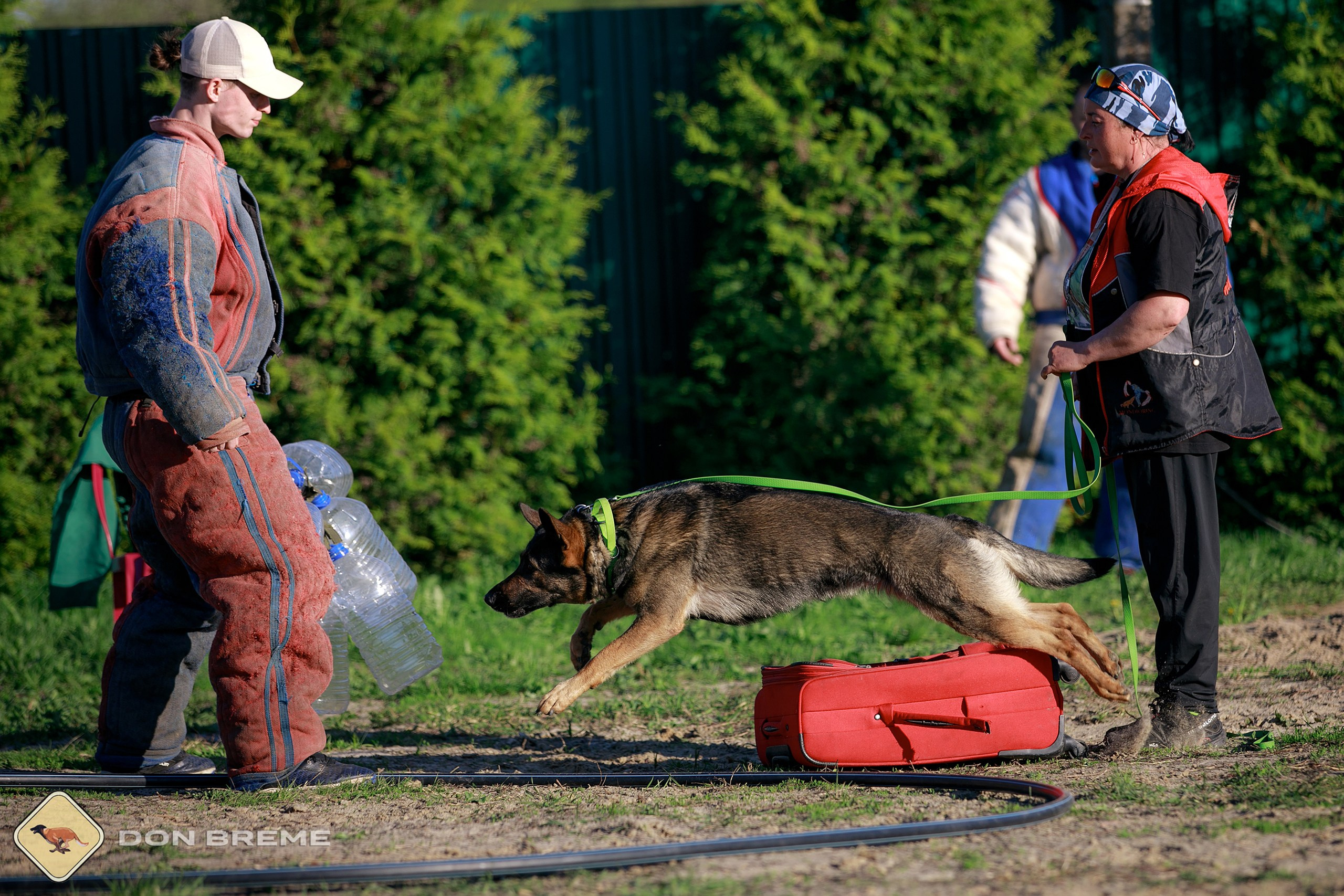Семинар для фигурантов, день 3. Фотограф-анималист Mary Mart — Москва, Питер