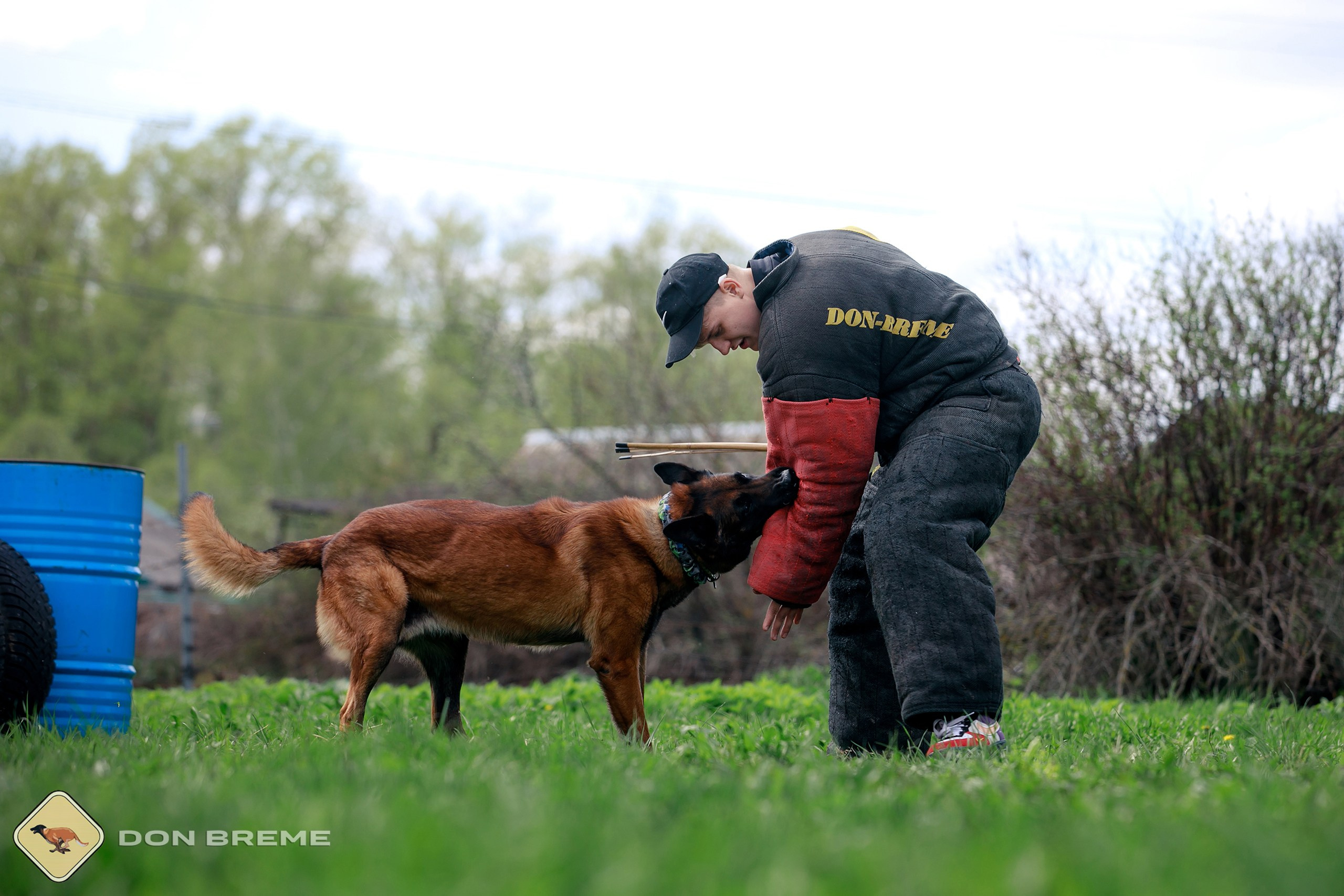 Семинар для фигурантов, день 2. Фотограф-анималист Mary Mart — Москва, Питер