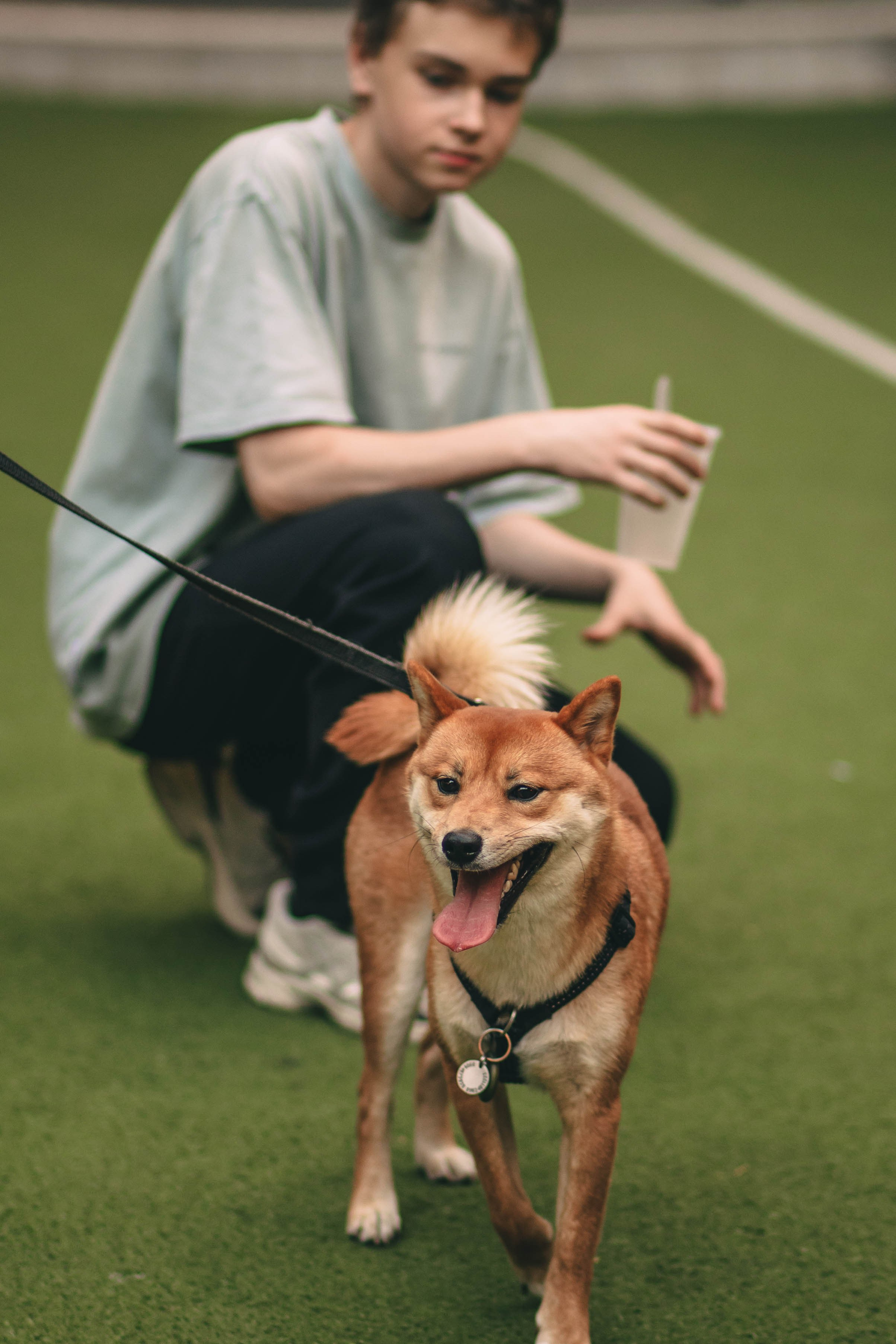 Pet-Party + Live-music |Парк Культуры. Фотограф в Ставрополе Алина Клочкова