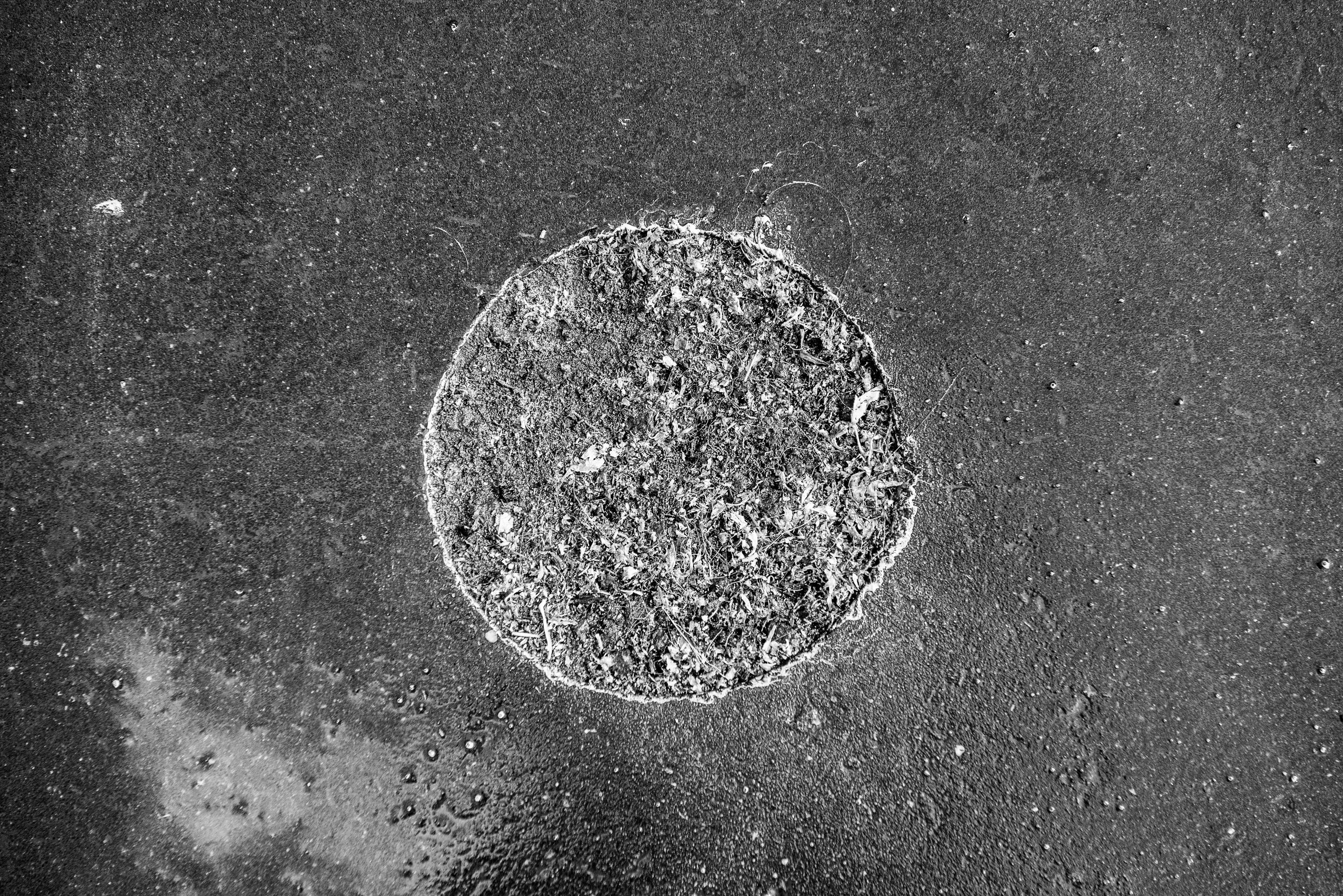 Среда. Портретный и архитектурный фотограф в Москве и Санкт-Петербурге