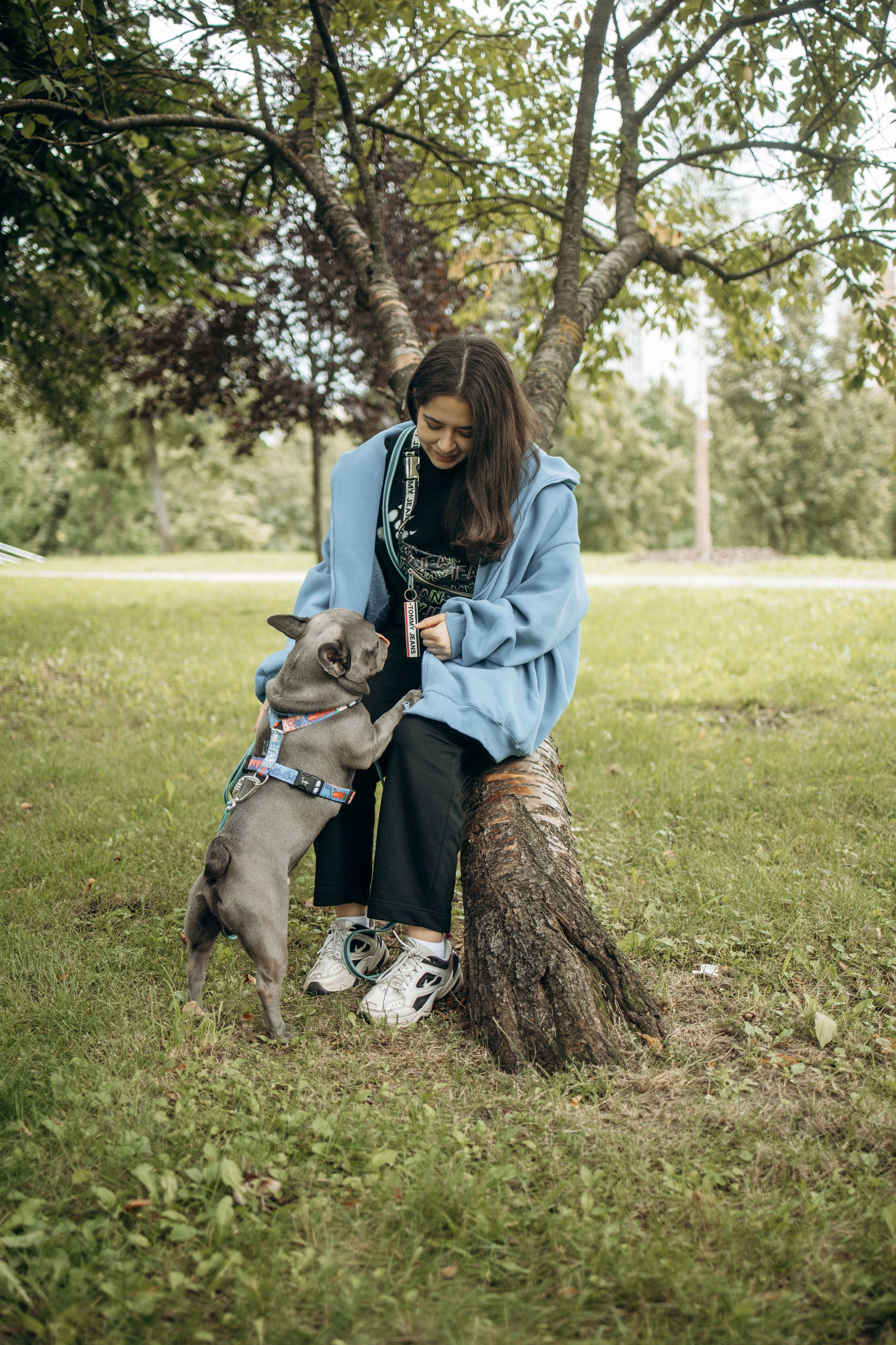 Грей и его семья