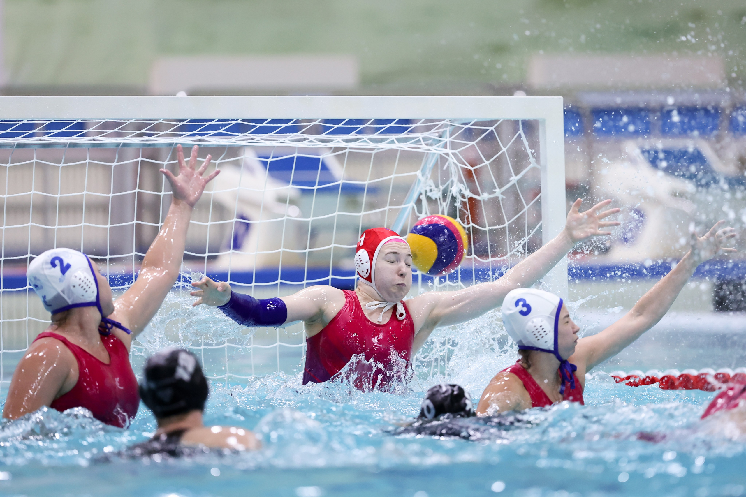 ВК «Диана» — ВК «Динамо-Уралочка» 24.10.2025. Спортивный и репортажный фотограф Антон Тереханов