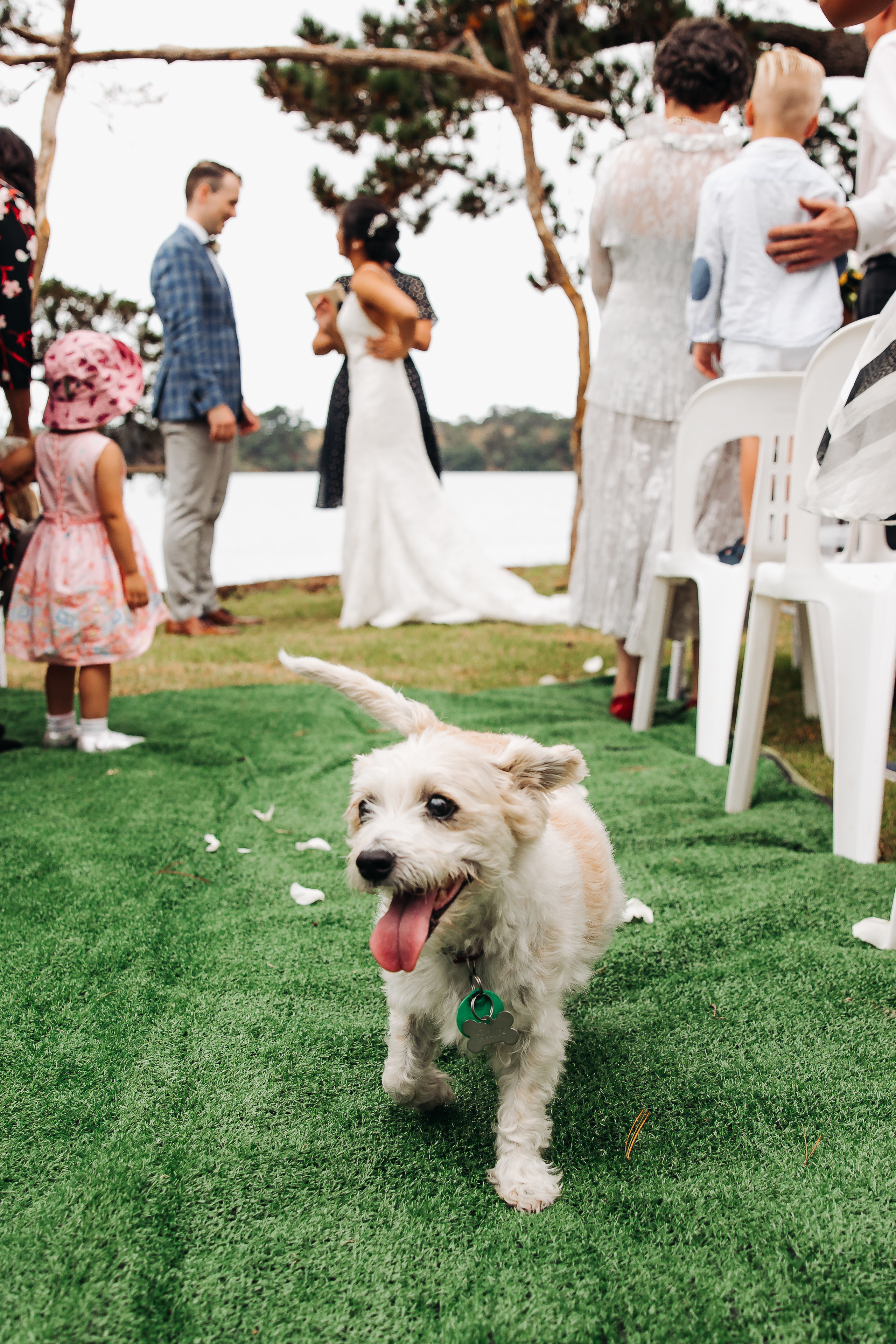 Свадебный фотограф в Санкт-Петербурге (Спб) и Тбилиси. Свадебный фотограф в Санкт-Петербурге и Москве LETU