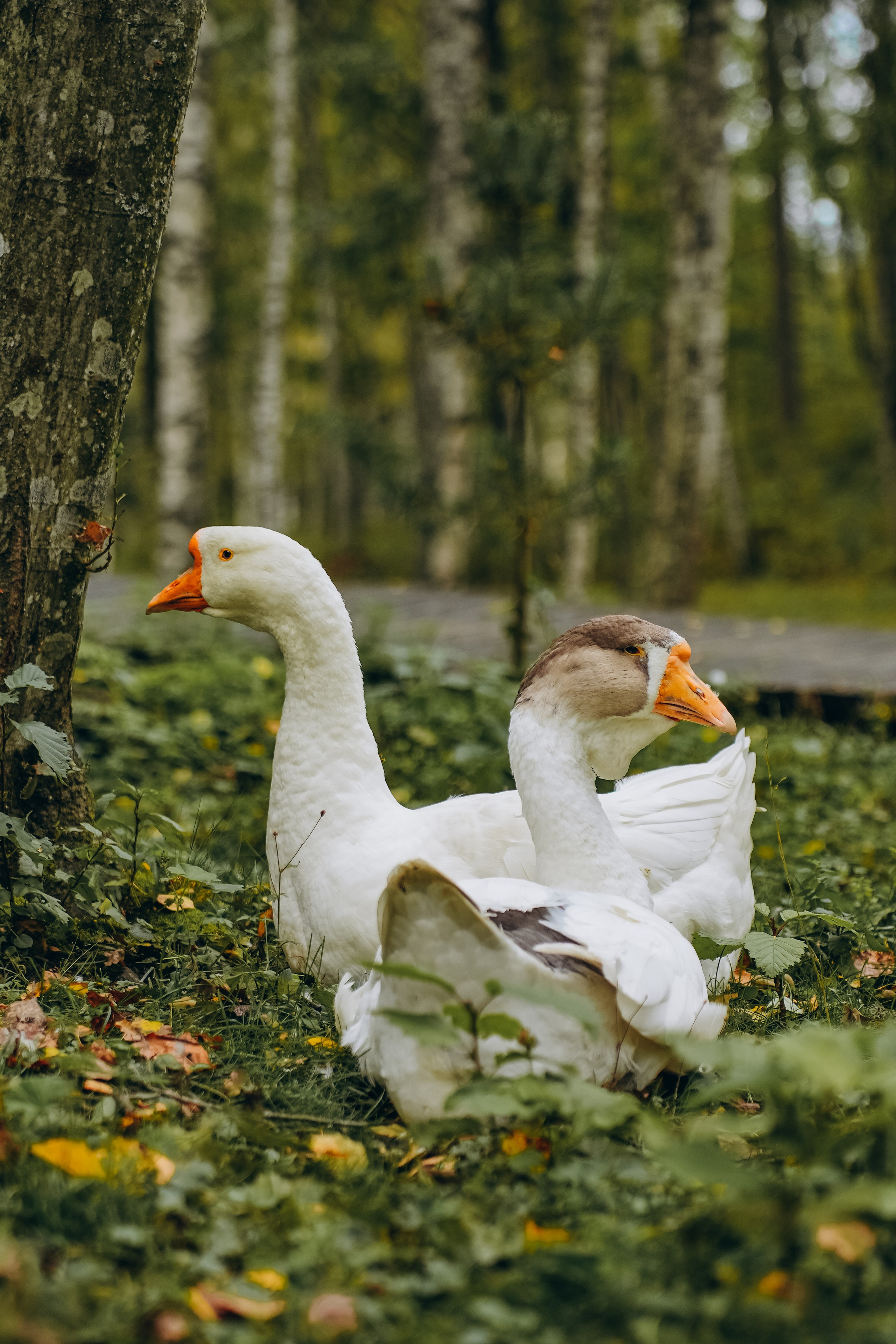 СЕВЕР. Event фотограф Степанова Александра