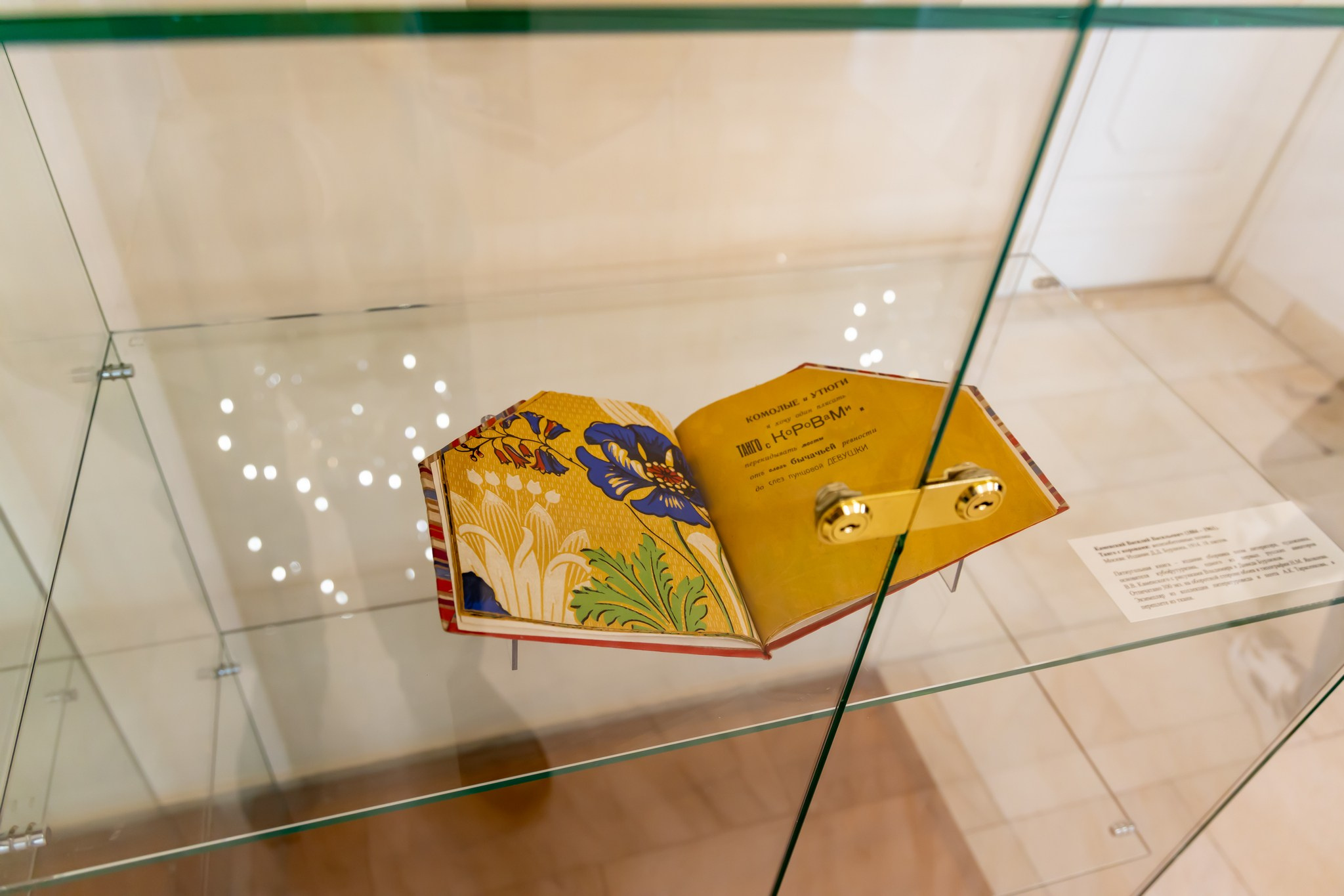 Открытие цикла экскурсий «Ленинка со звездой». Репортажный, семейный и студийный фотограф в Москве Демин Алексей