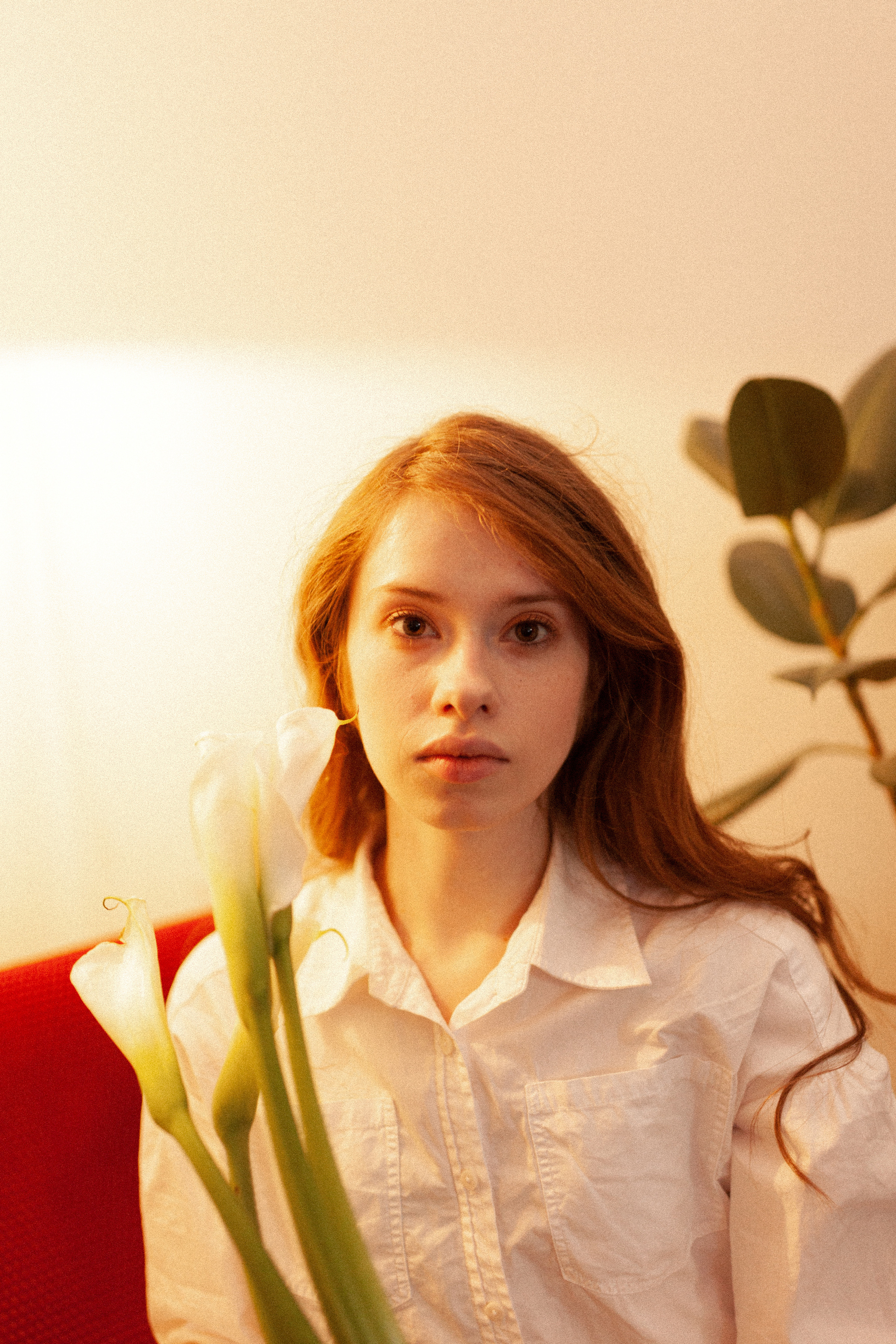 Фотосессия Алёны. Семейный и женский фотограф, стильный репортаж в г. Новосибирск