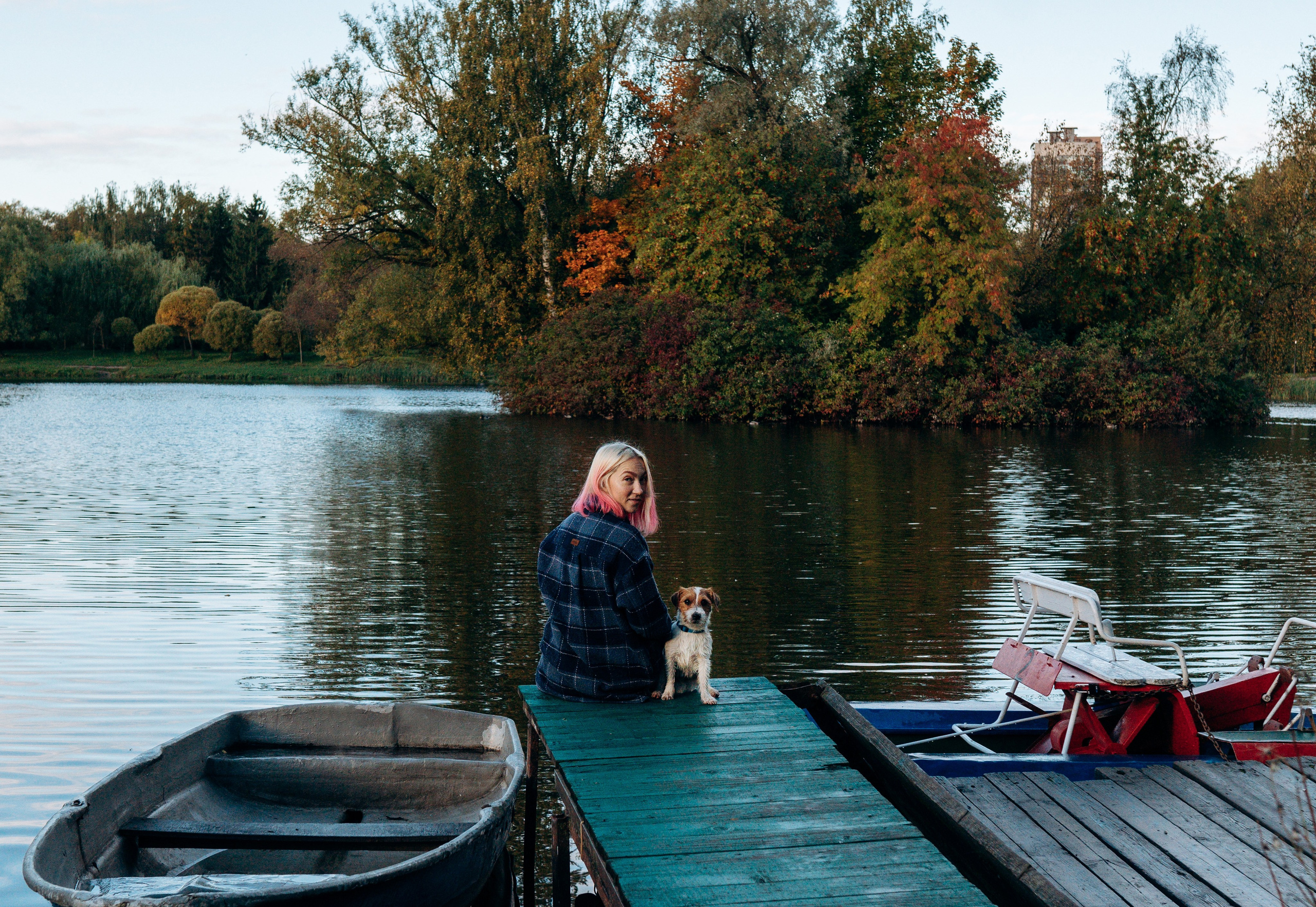 Фотосессия с маленькой собакой Спб. Фотограф анималист в Спб недорого Олеся Майорова