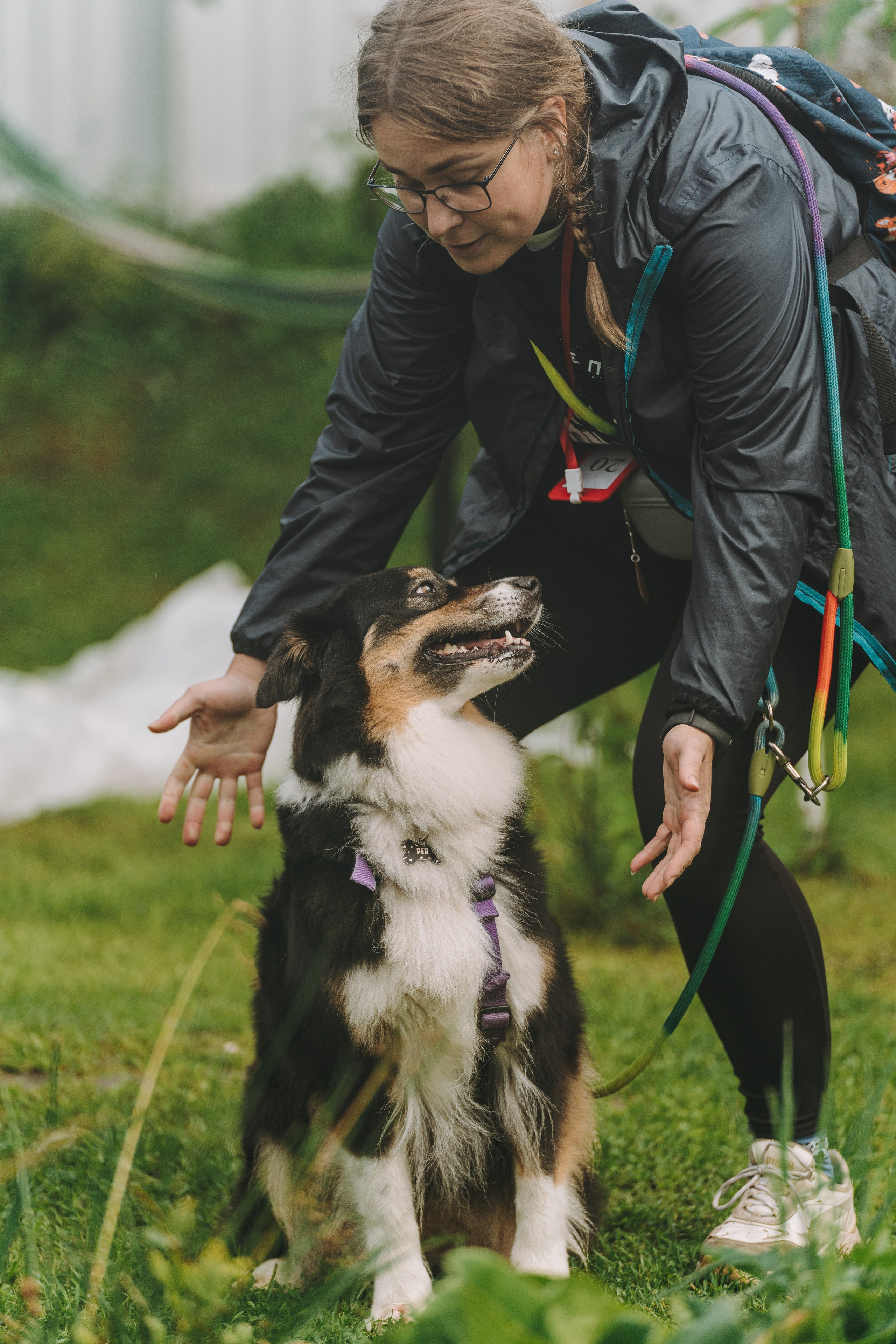 Соревнования по ноузворку в Новожилово. Фотограф анималист в Спб недорого Олеся Майорова