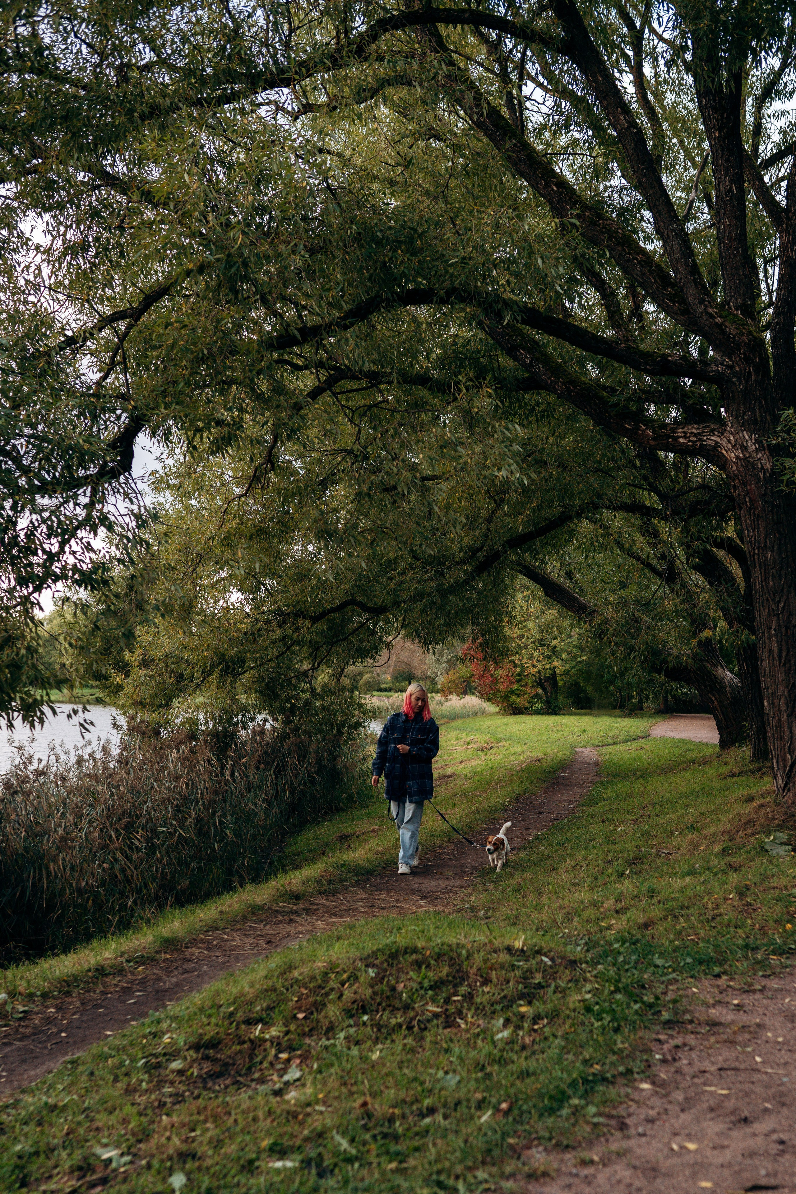 Фотосессия с маленькой собакой Спб. Фотограф анималист в Спб недорого Олеся Майорова