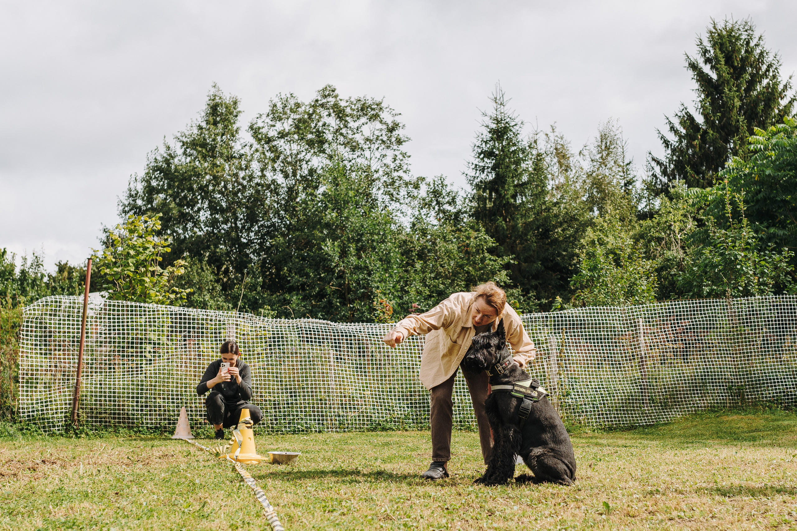 Соревнования по ноузворку в Новожилово. Фотограф анималист в Спб недорого Олеся Майорова