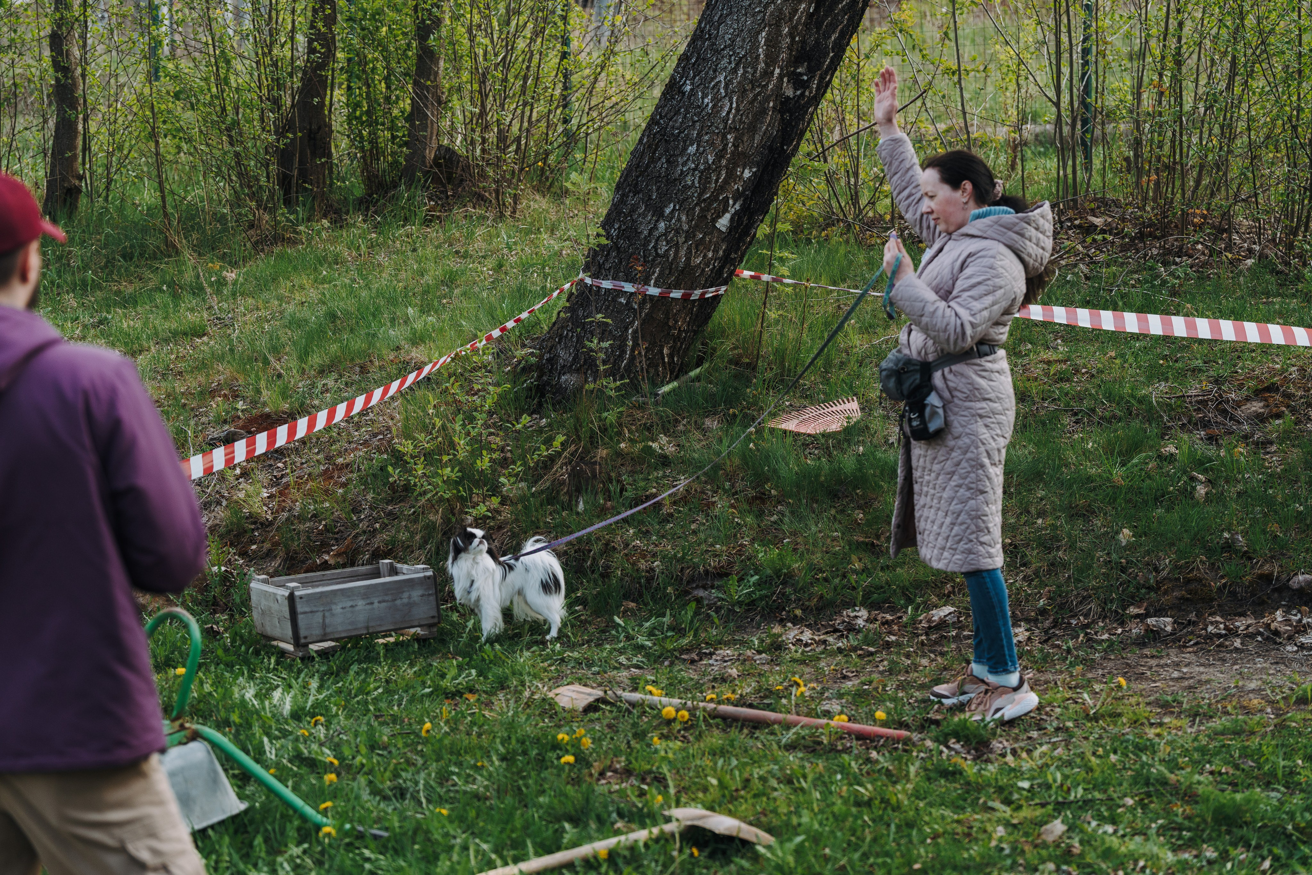 Соревнования по ноузворку в Лосево. Фотограф анималист в Спб недорого Олеся Майорова