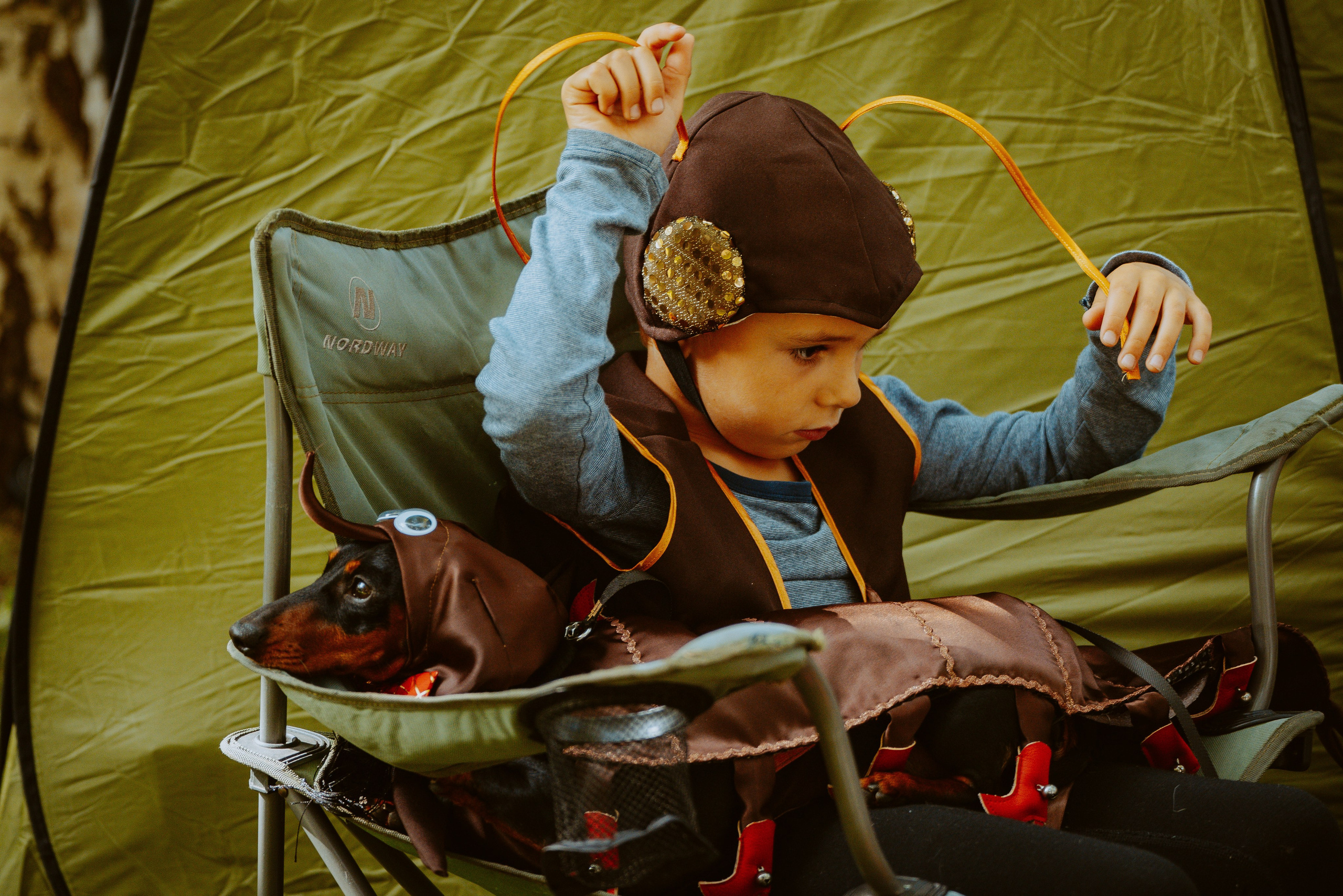 Такспарад. Фотограф анималист в Спб недорого Олеся Майорова
