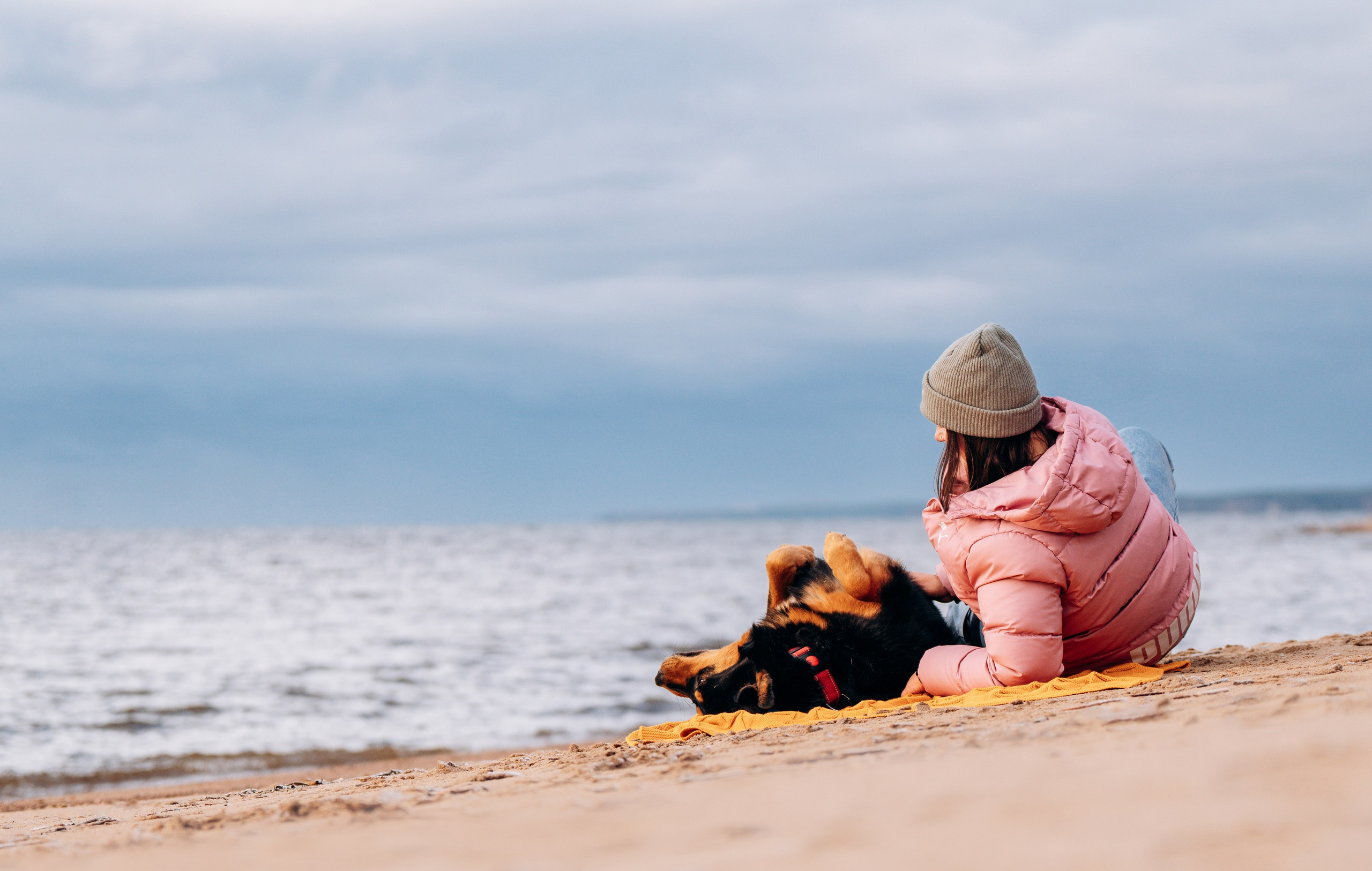 Глаша и Любовь. Фотограф анималист в Спб недорого Олеся Майорова