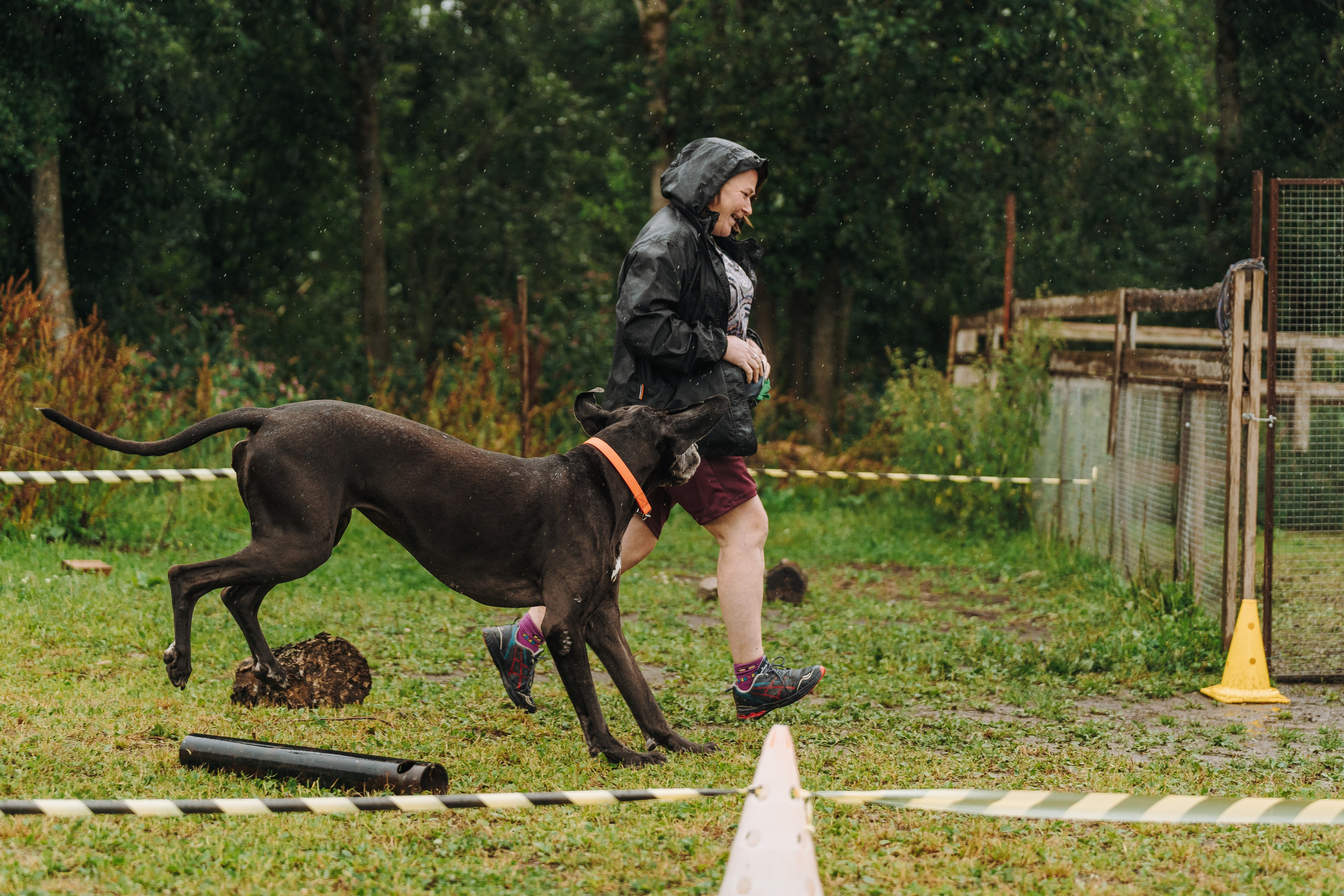 Соревнования по ноузворку в Новожилово. Фотограф анималист в Спб недорого Олеся Майорова