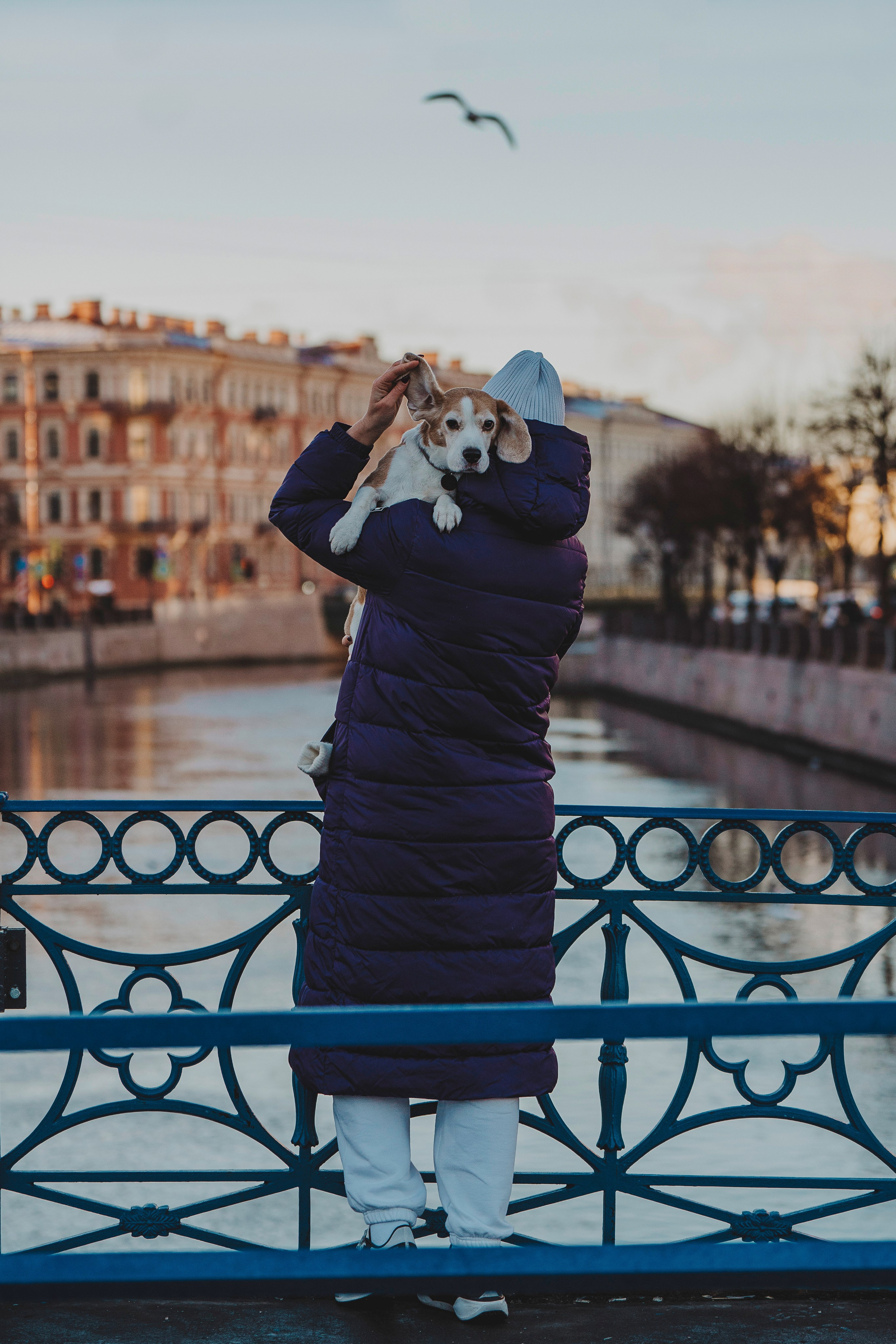 Ксения и Гаечка. Фотограф анималист в Спб недорого Олеся Майорова