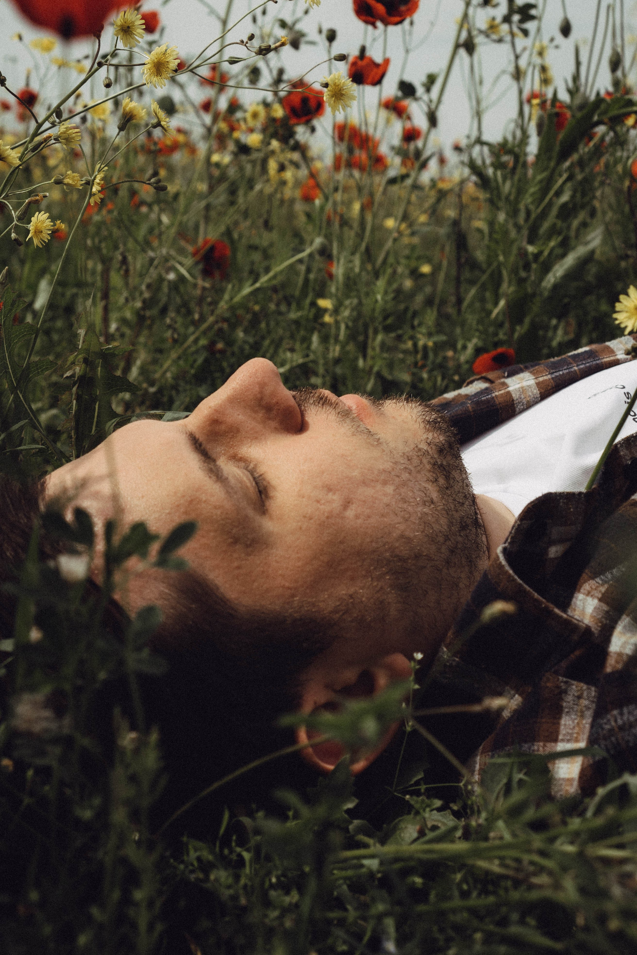 Маки. Профессиональный фотограф, Санкт-Петербург — Виктория Богомолова