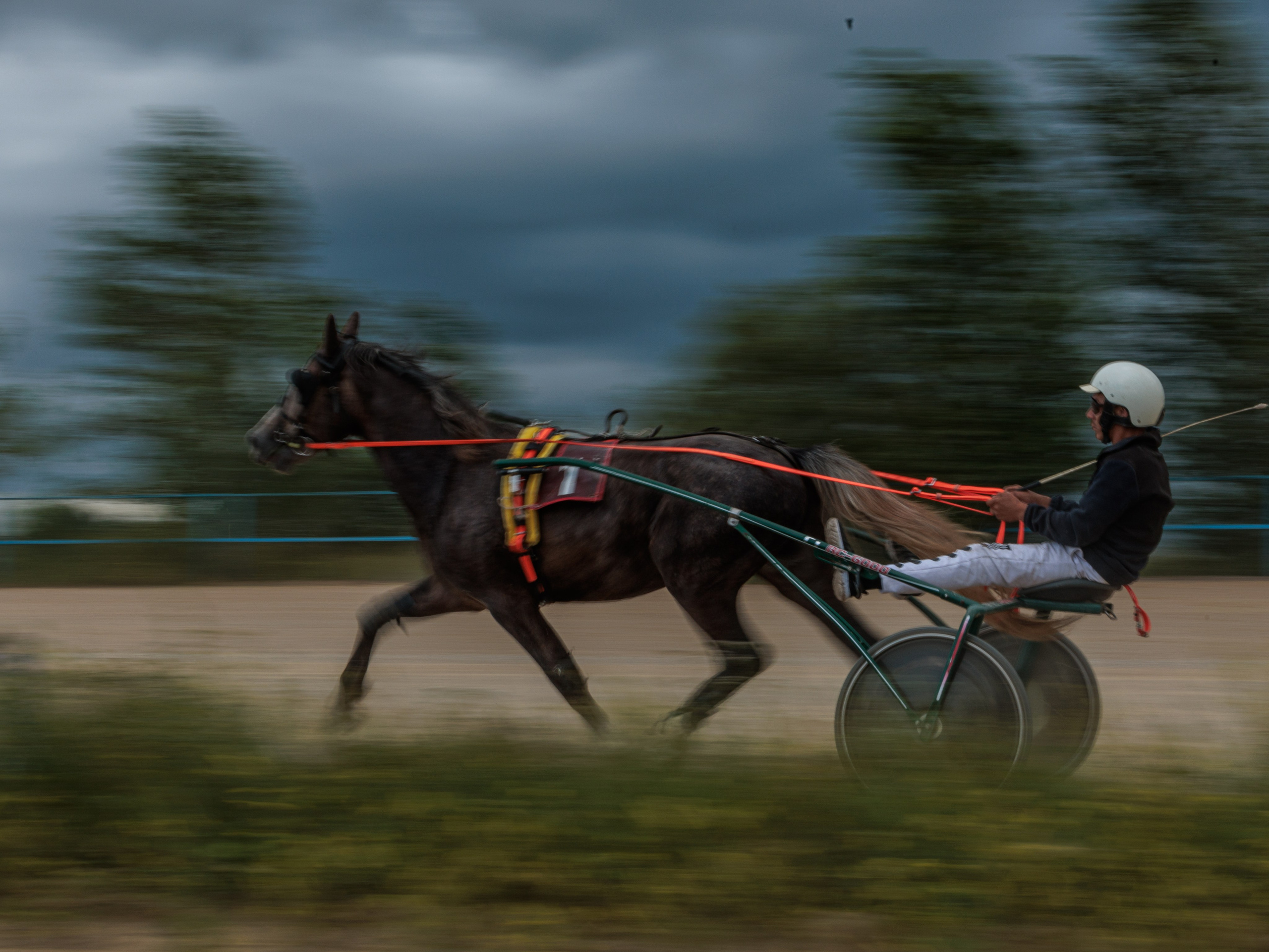 2025. Конный фотограф в Красноярске — Любовь Похабова