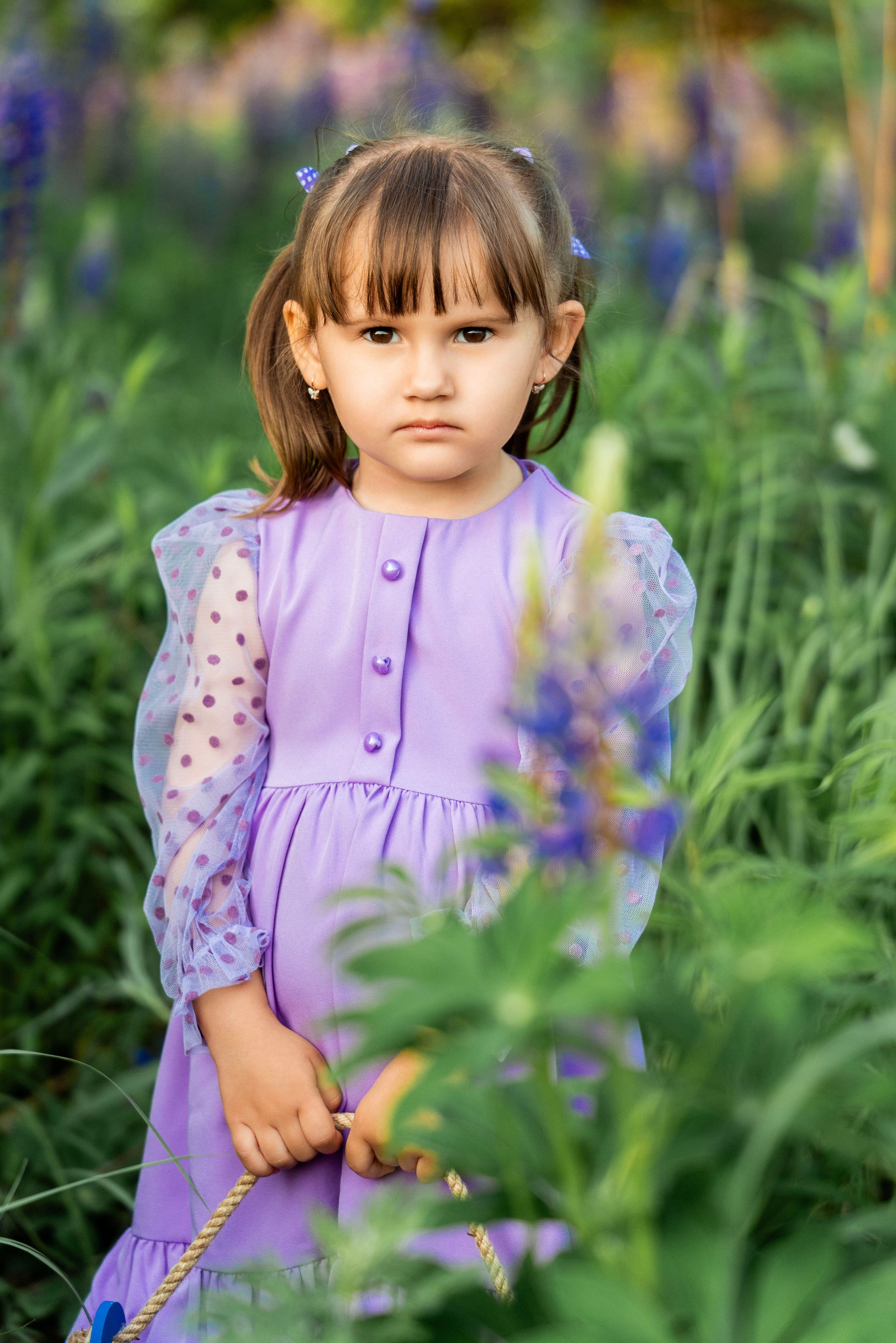 Люпины. Фотограф Юлия Попова