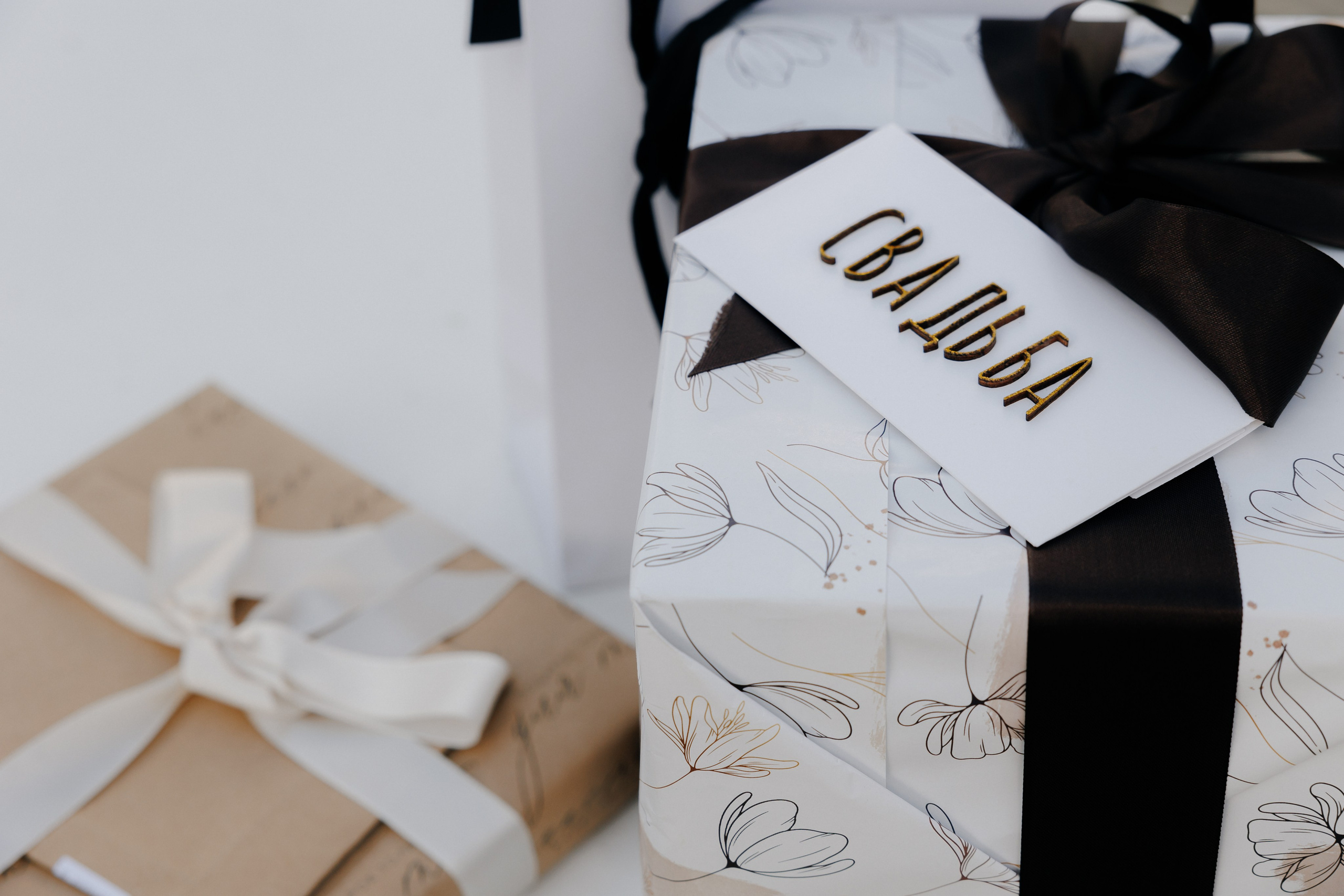 Владислав и Анастасия. Свадебный и семейный фотограф Витебск, Минск, Андрей Павлов