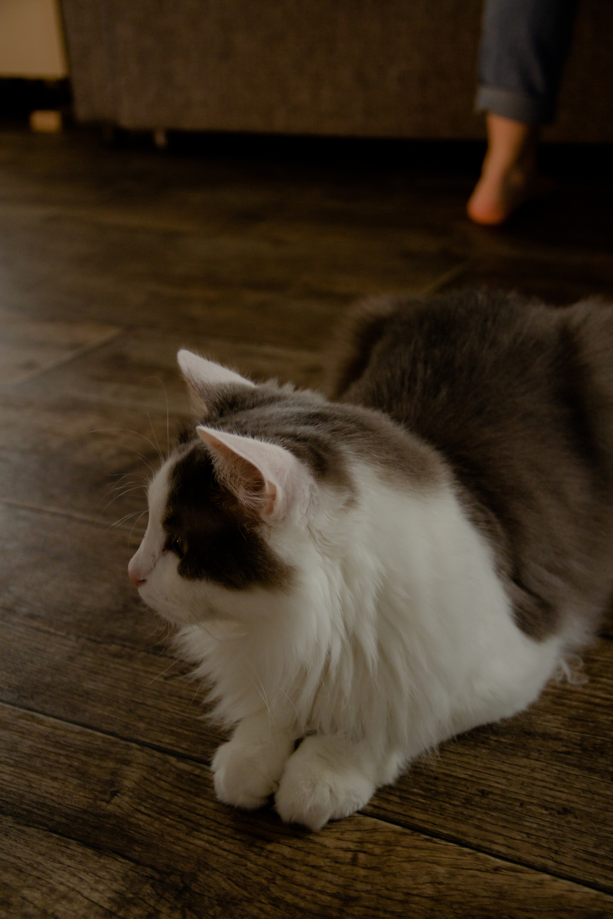 Алексей/Светлана/Лев