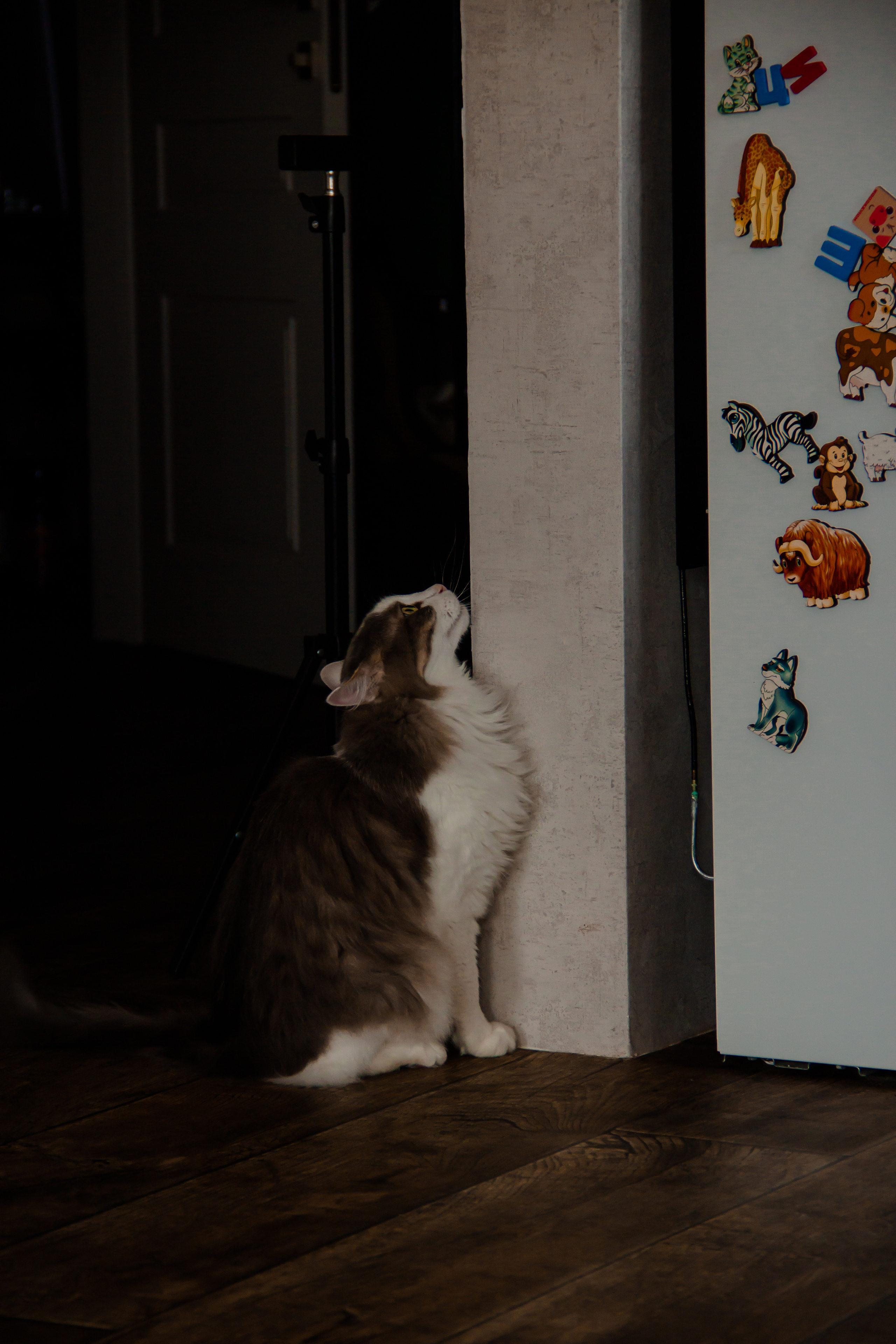 Алексей/Светлана/Лев