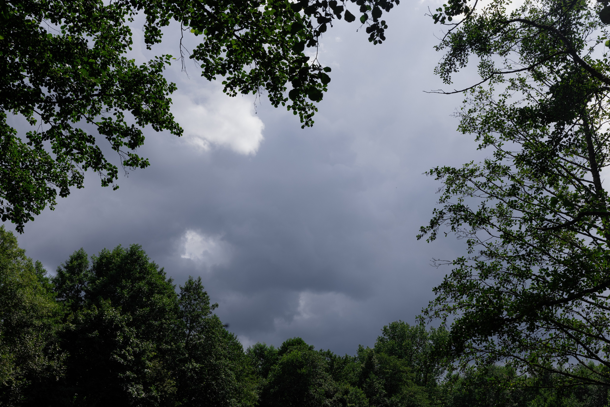 Anna & Alex film/digital Dwor Staiki. Свадебный фотограф Кристина Винокурова