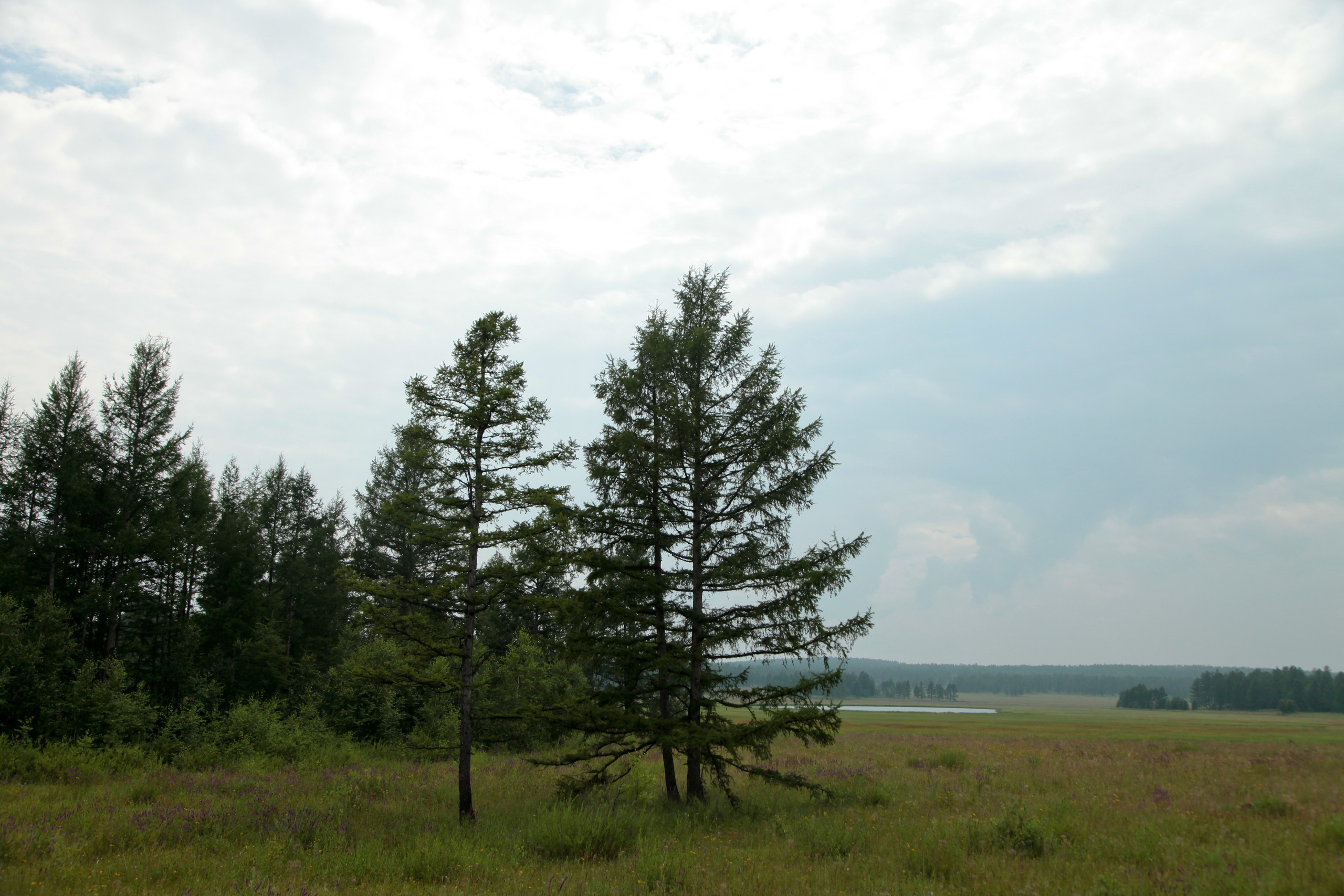 Фото Природы Забайкалья. Студия Максима Белослюдцева