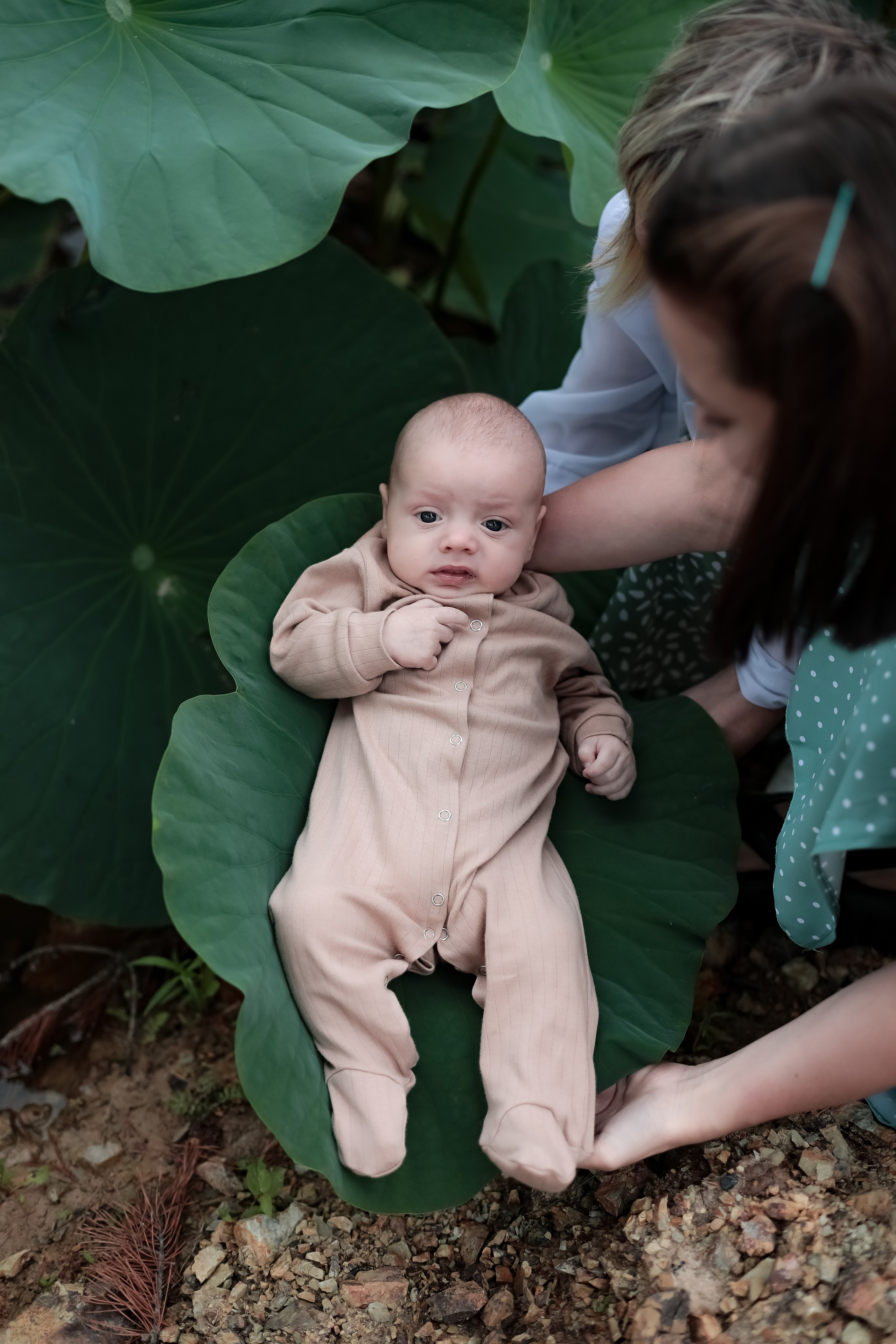 В лотосах. Фотограф г. Хабаровск. Семейные и индивидуальные съёмки