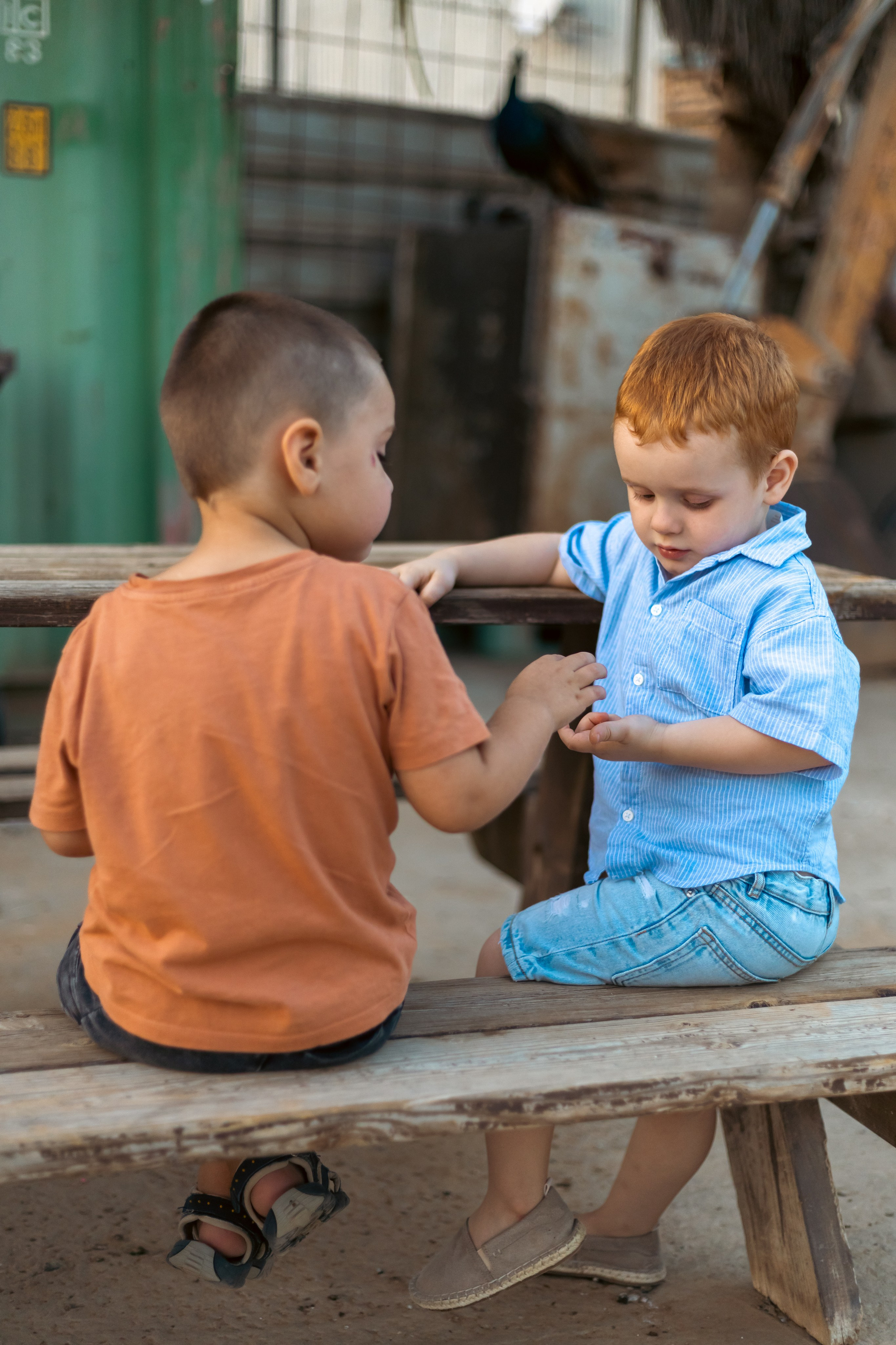 Анна и Амир. Семейный фотограф Израиль