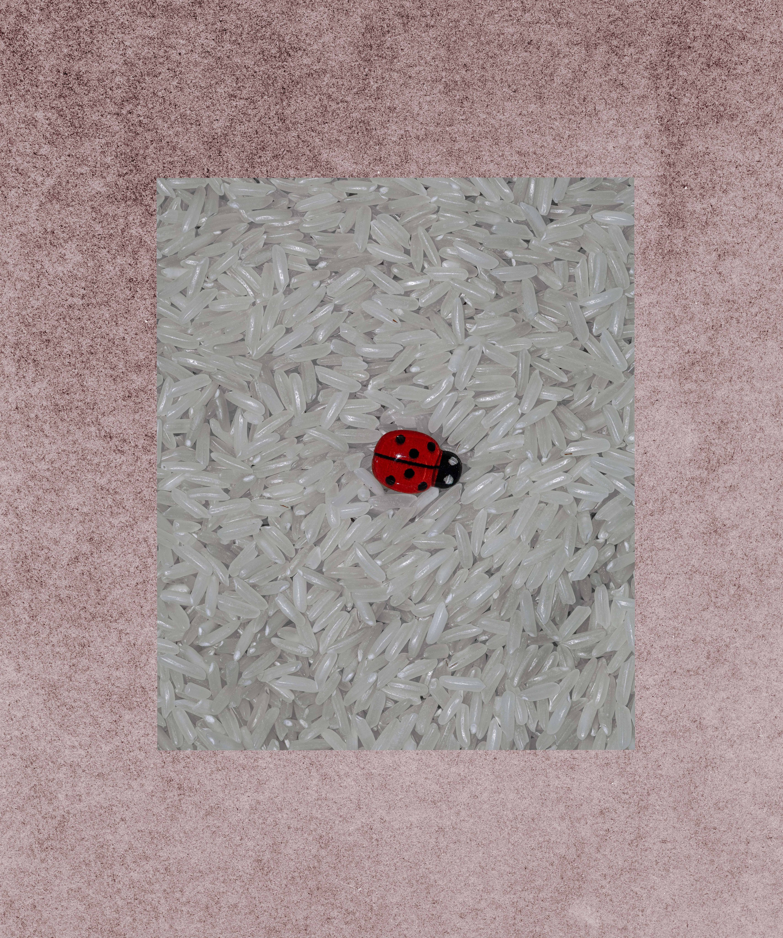 Съемка контента для SMM. Фотограф в Москве Черниговцева Анастасия