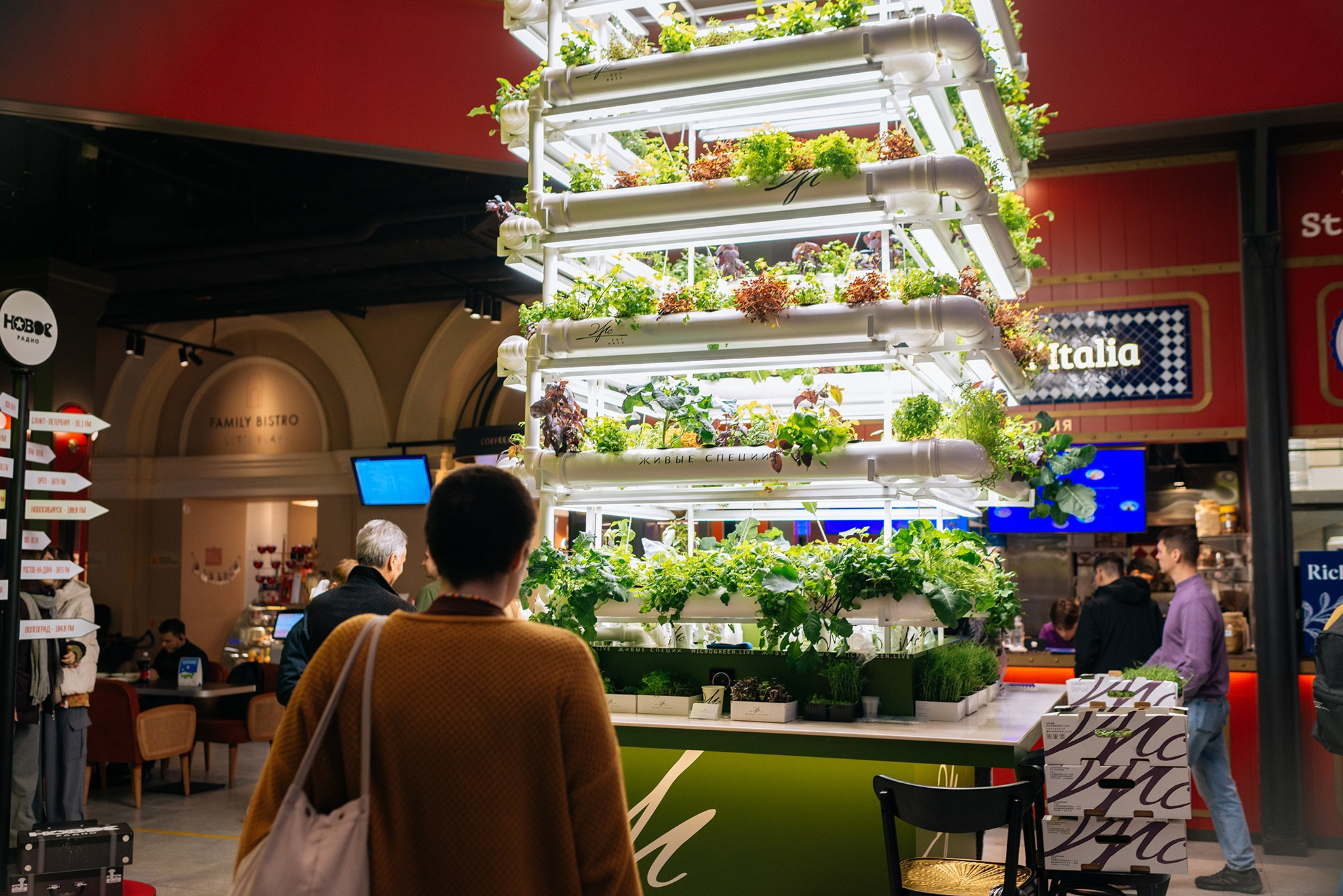 ЖИВЫЕ СПЕЦИИ. Микрозелень и Съедобные цветы. Репортажный фотограф в Санкт-Петербурге Анастасия Клёпова