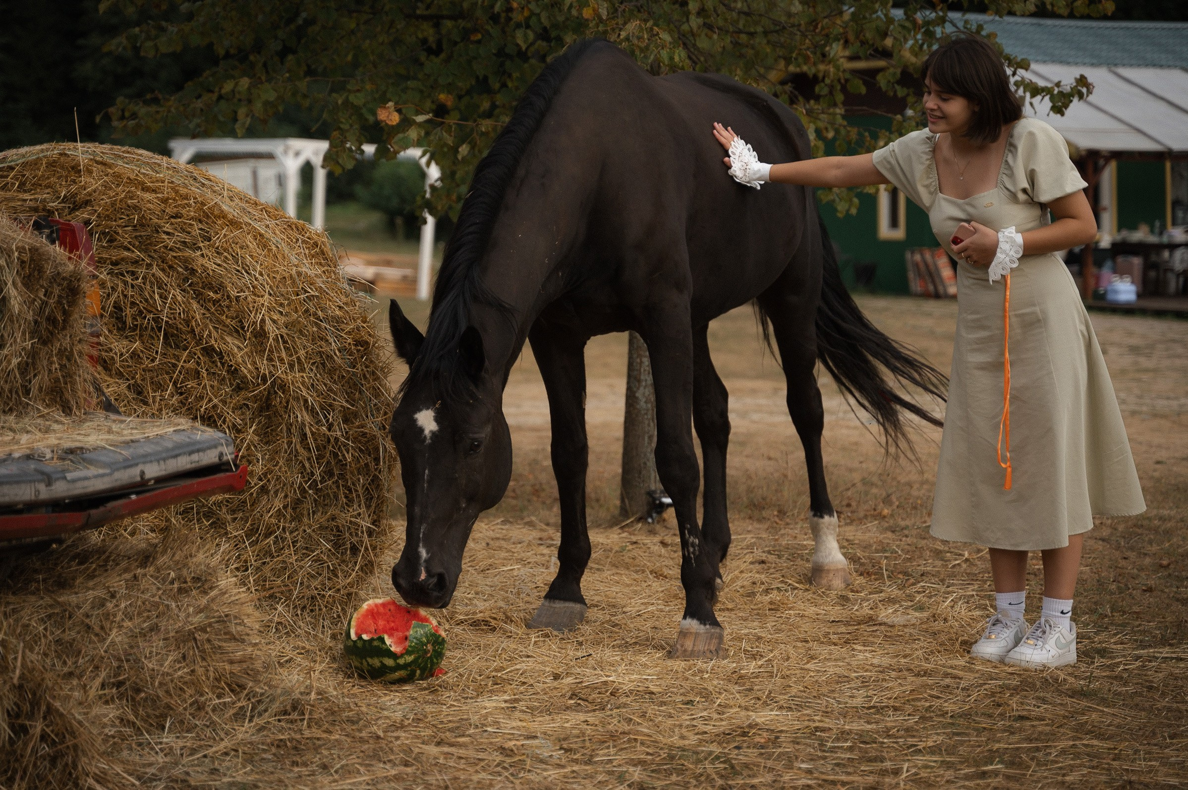 Country Club Polyana, цвет настроения желтый. Афина Ефимова. Свадебный фотограф Москва