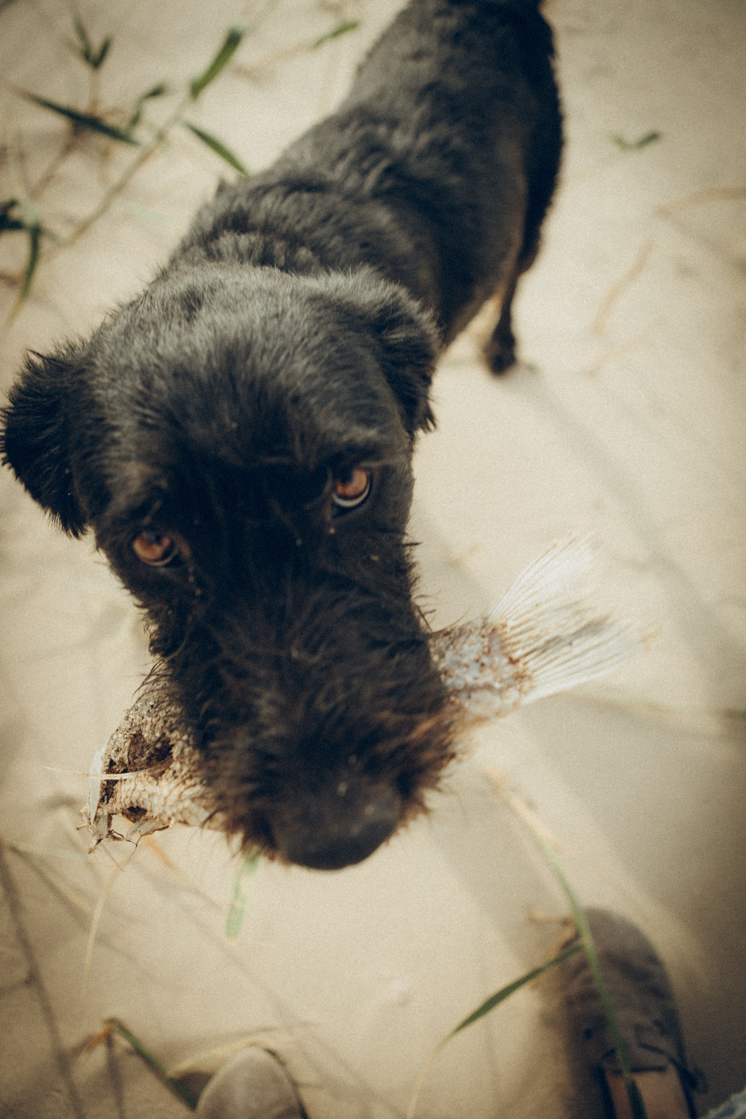 Виктория & Денис. Семейный фотограф и фотограф на роды в Ростове-на-Дону Мухина Виктория