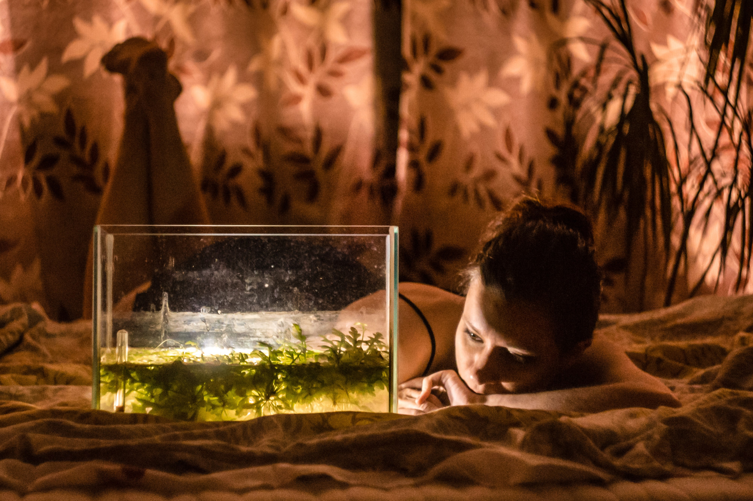 Лена, Лена-Лена-на-на-на, lenalenananana.com, #SergDor, lenalena_na_na_na