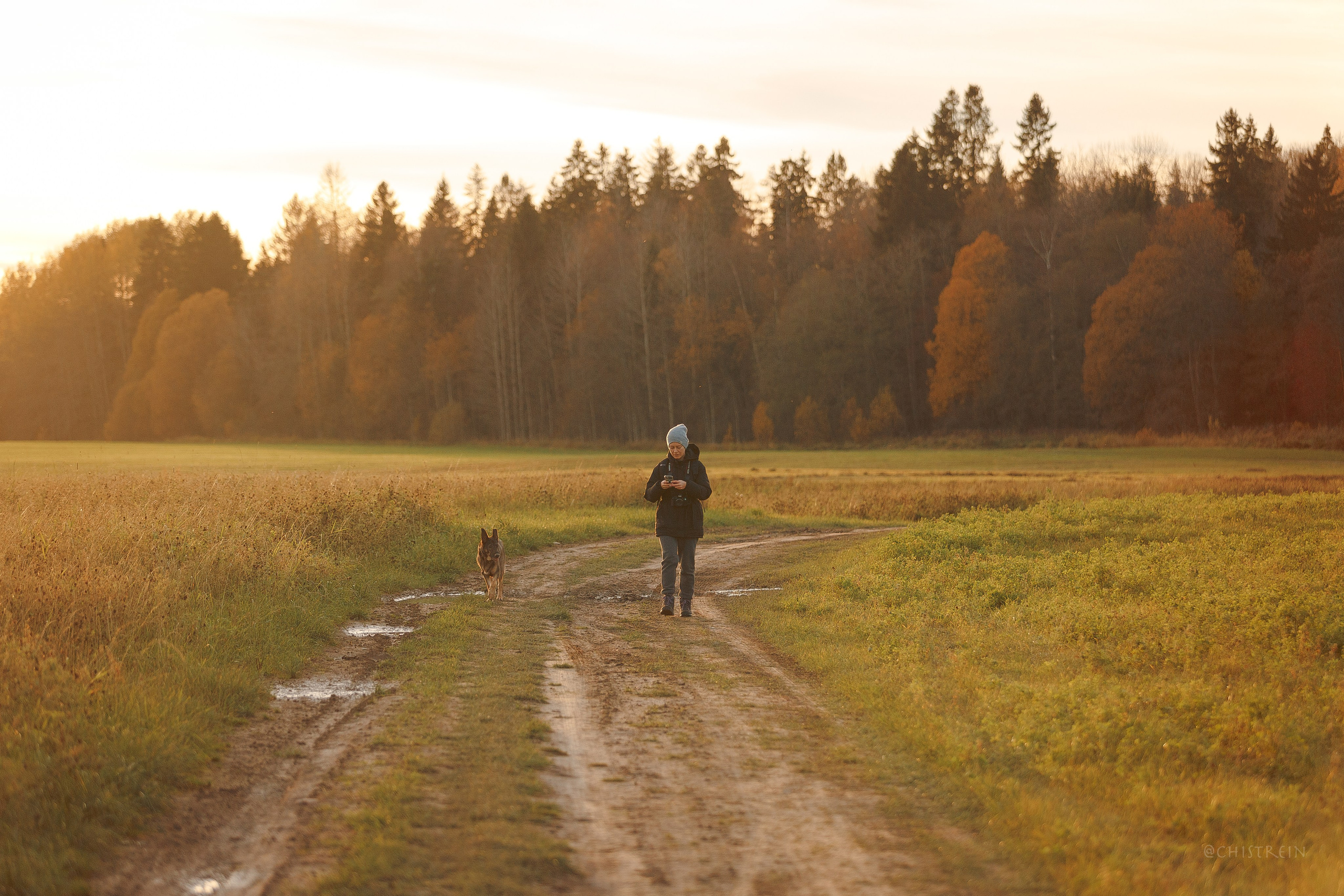 Октябрьский закат в полях. Алина и Лео. Фотограф-анималист Наталия Чистюхина в г. Сосновый Бор и ЛО