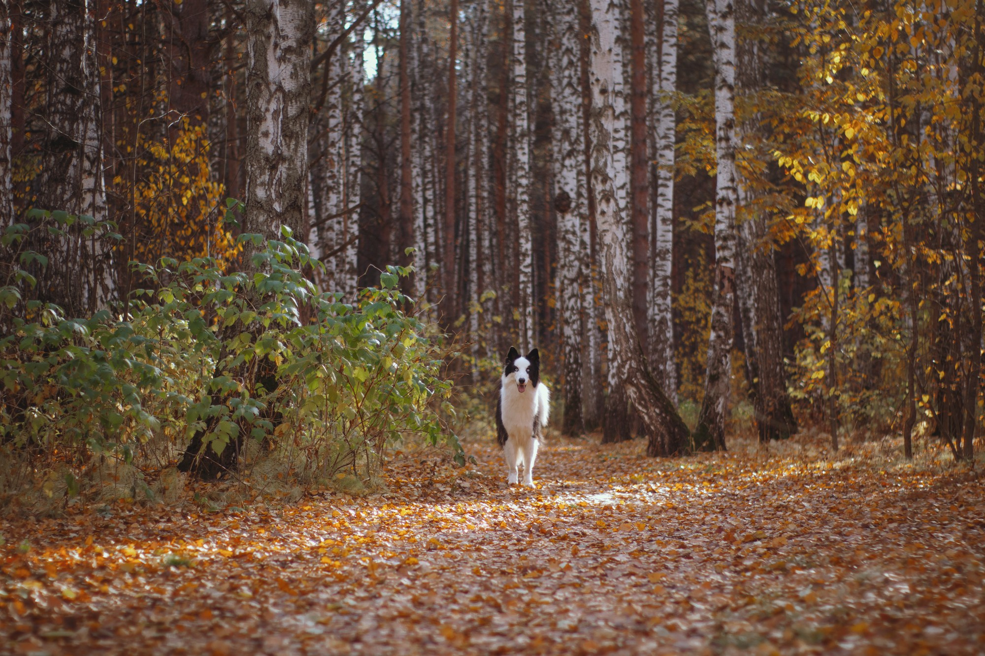 Ликёр. Фотограф в Тюмени Лизавета Сапицкая